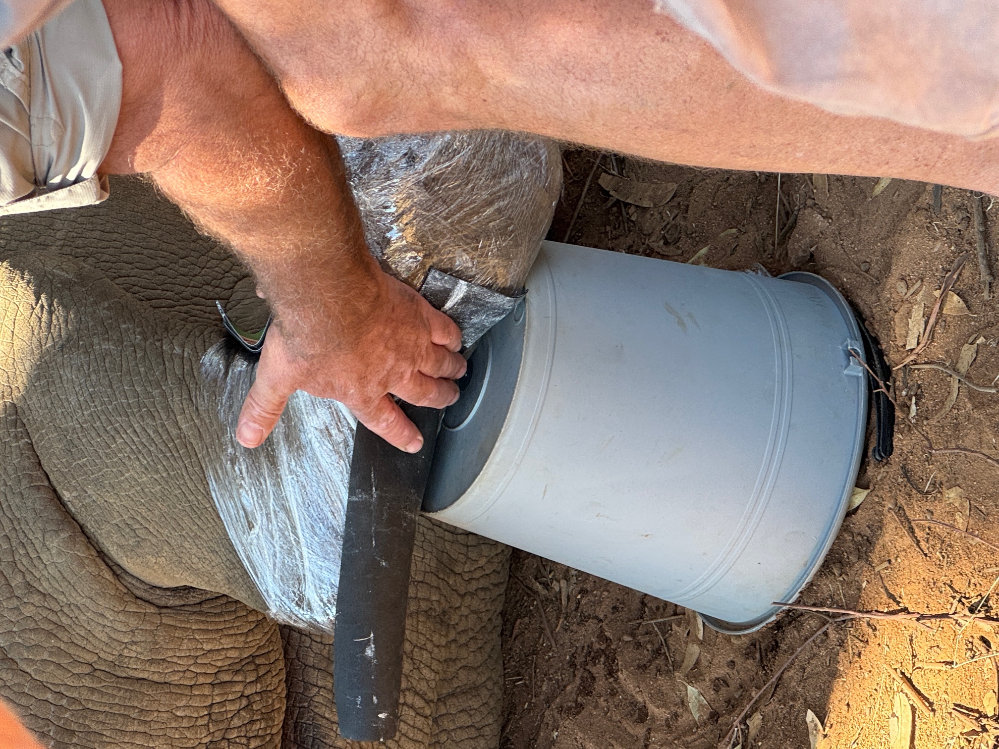 Sophie Cuevas: close up of vet working on rhino
