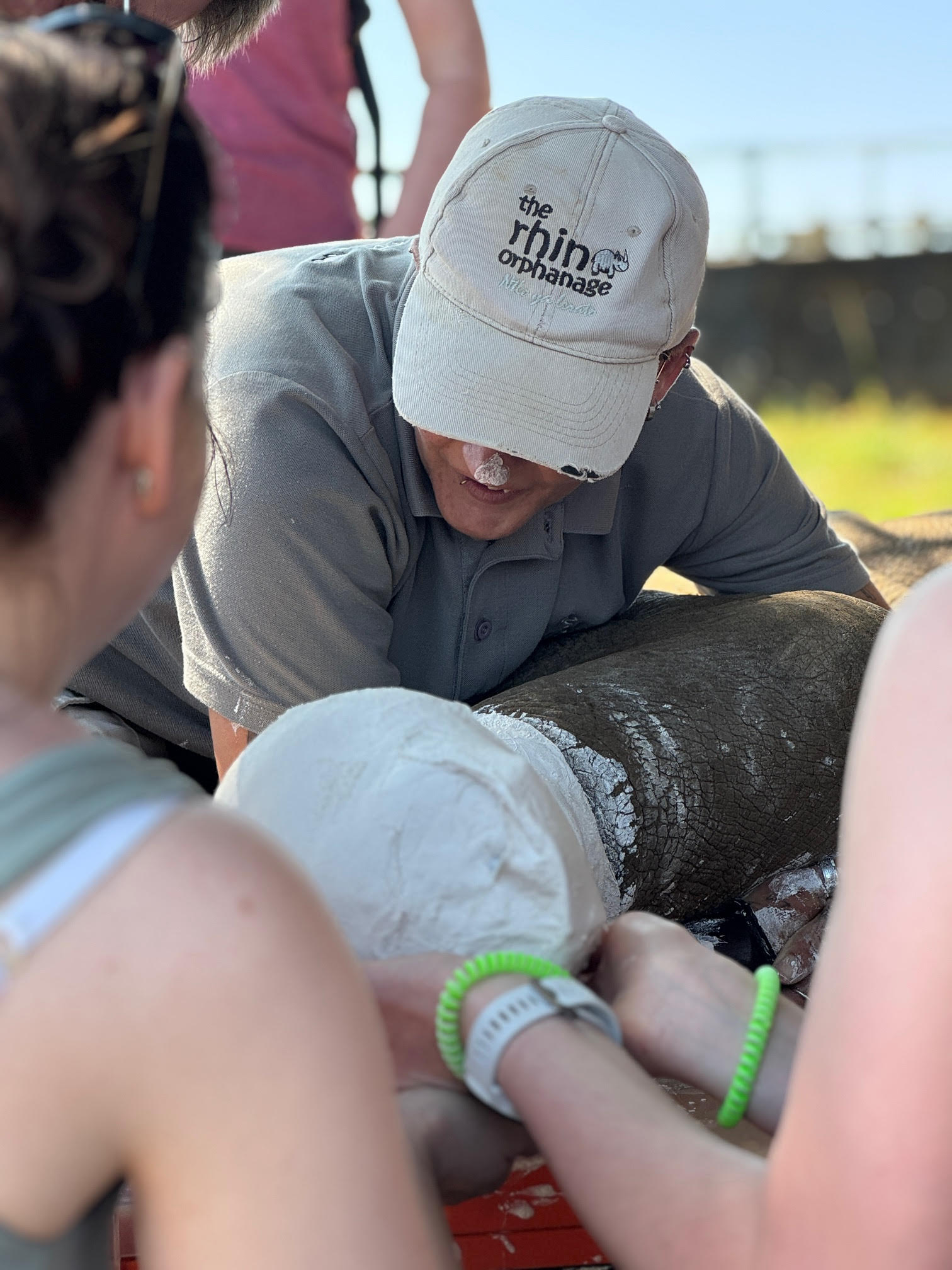 Sophie Cuevas: project staff helping put a leg cast on a rhino