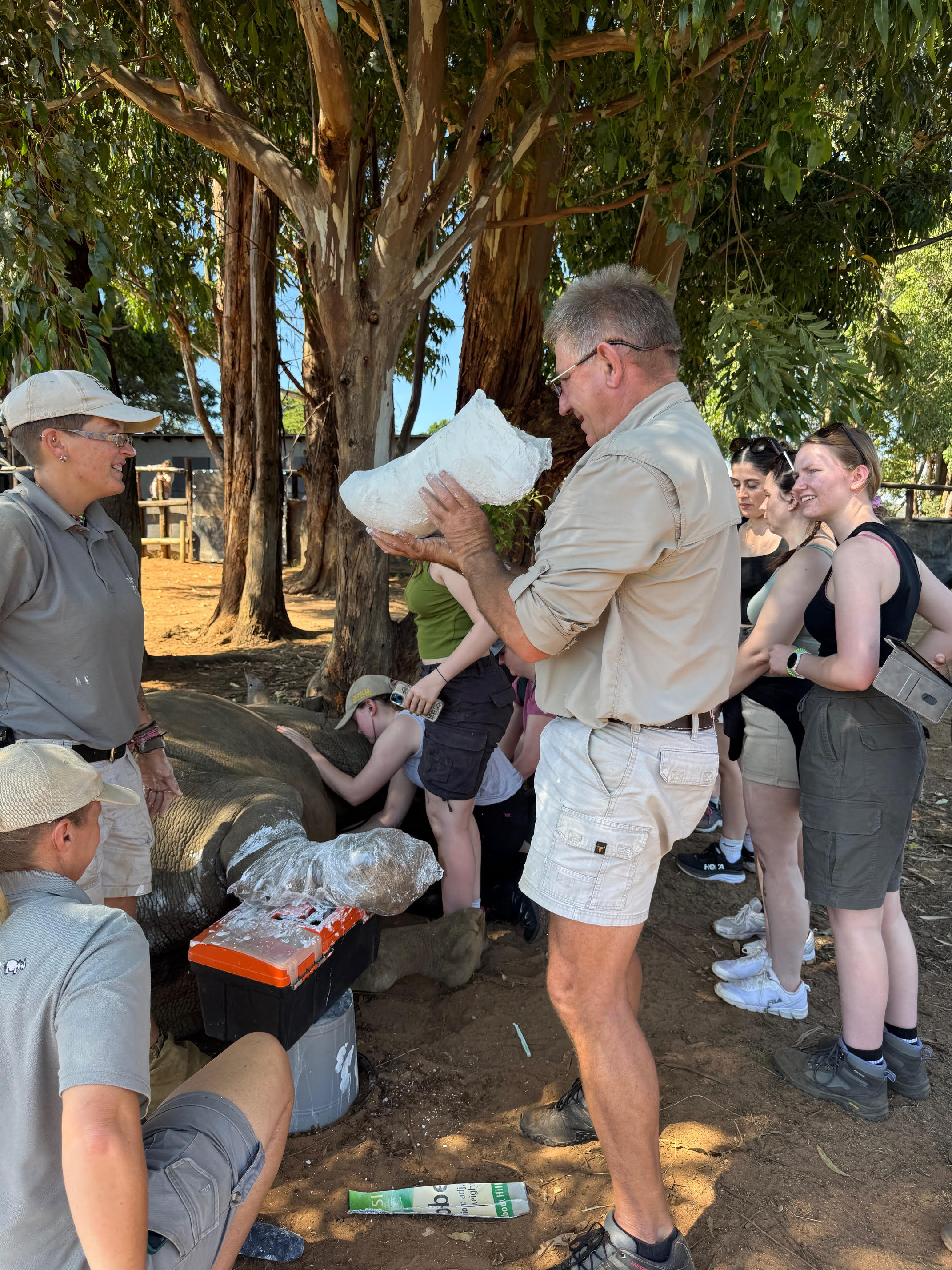 Sophie Cuevas: vet creating a rhino leg cast 