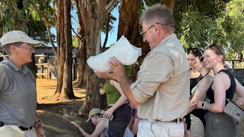 Sophie Cuevas: vet creating a rhino leg cast