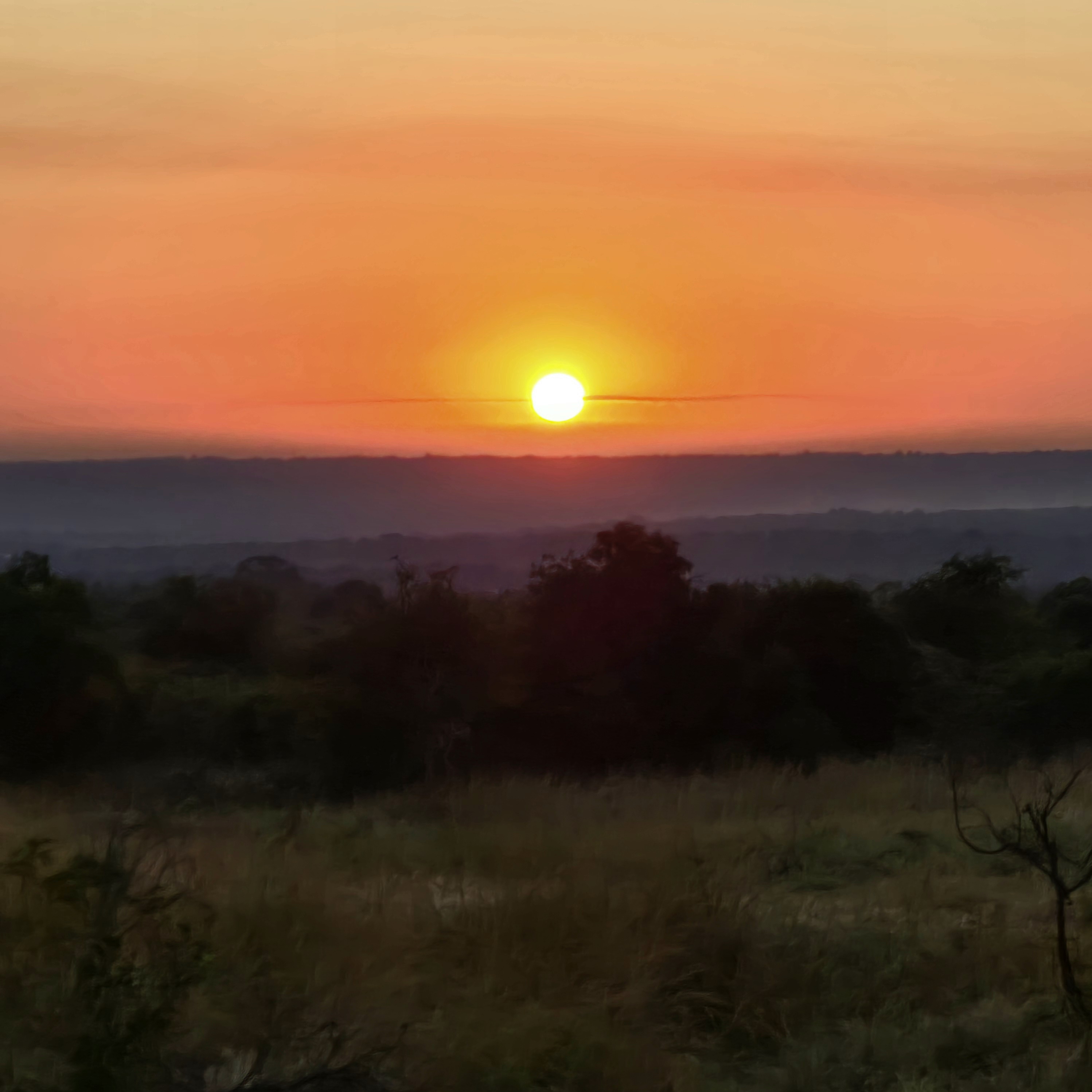 Cheryl Galbraith: sunset over the bush