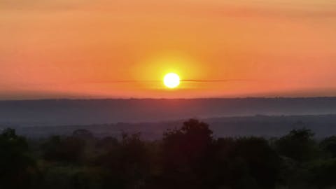 Cheryl Galbraith: sunset over the bush