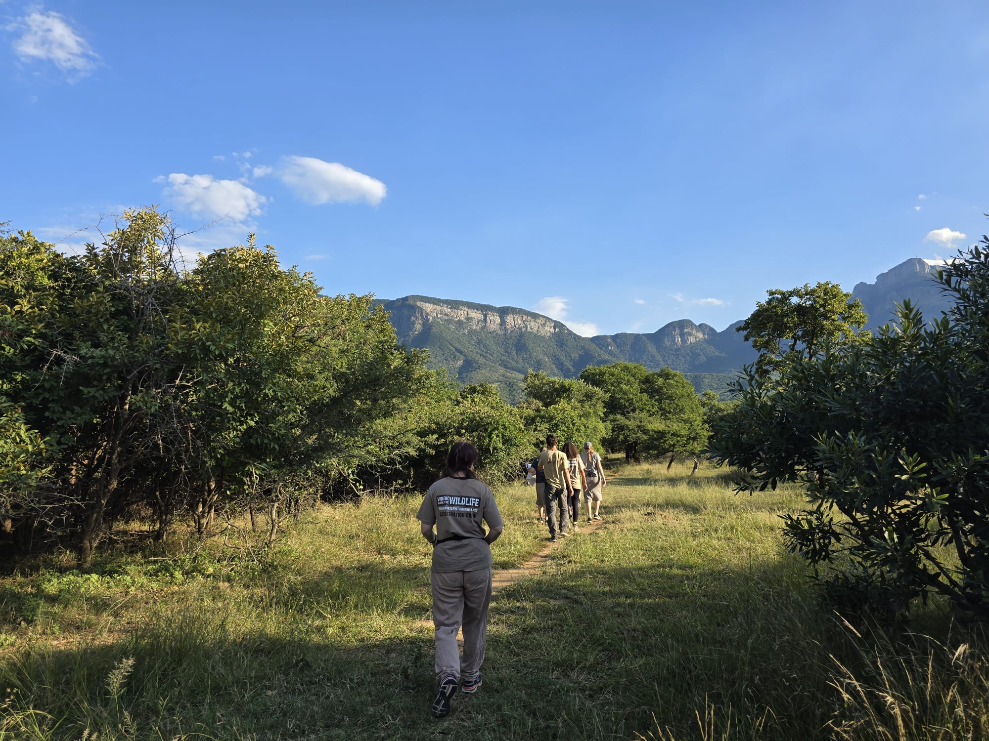 Cheryl Galbraith: volunteers walking in the bush