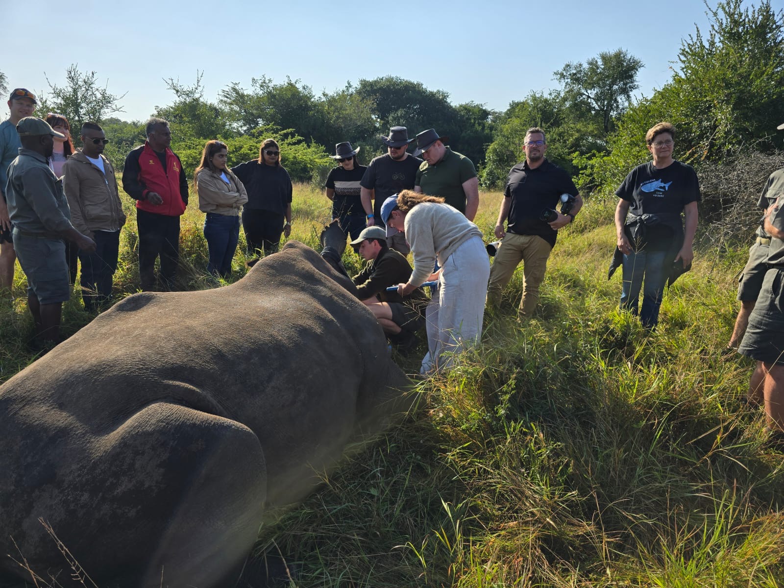 Isabella Drenthen: group witnessing a rhino horn trimming