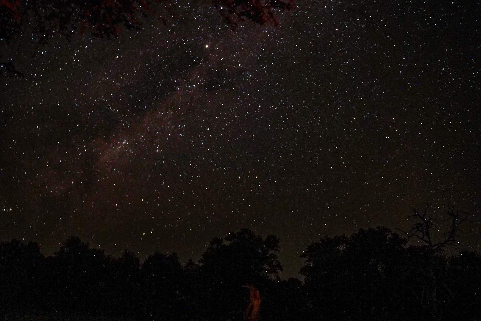 Isabella Drenthen: stars in the night sky 