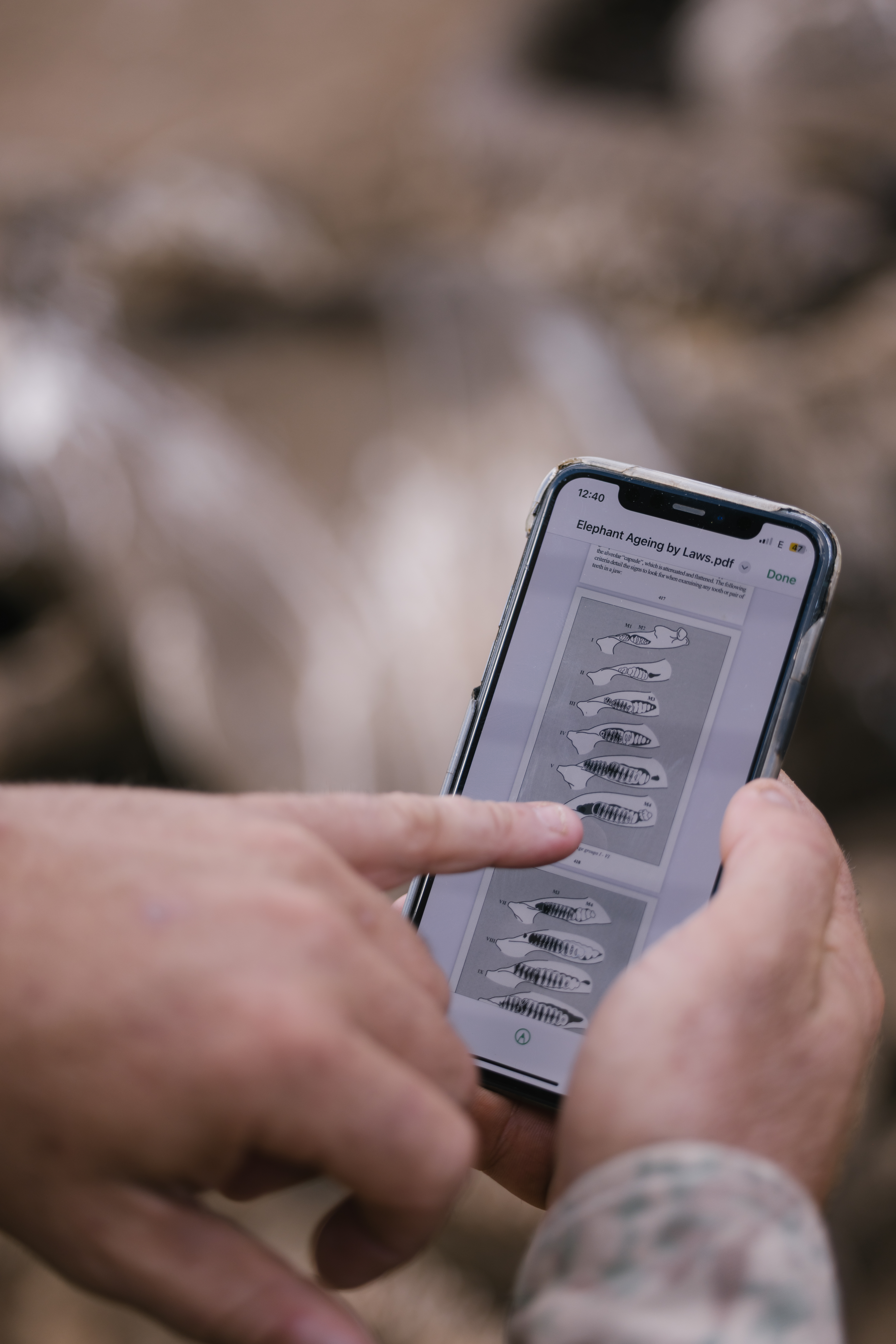 Conservation research volunteer - Wildlife Research and Management - Volunteer inputting data in the tablet in the Kruger