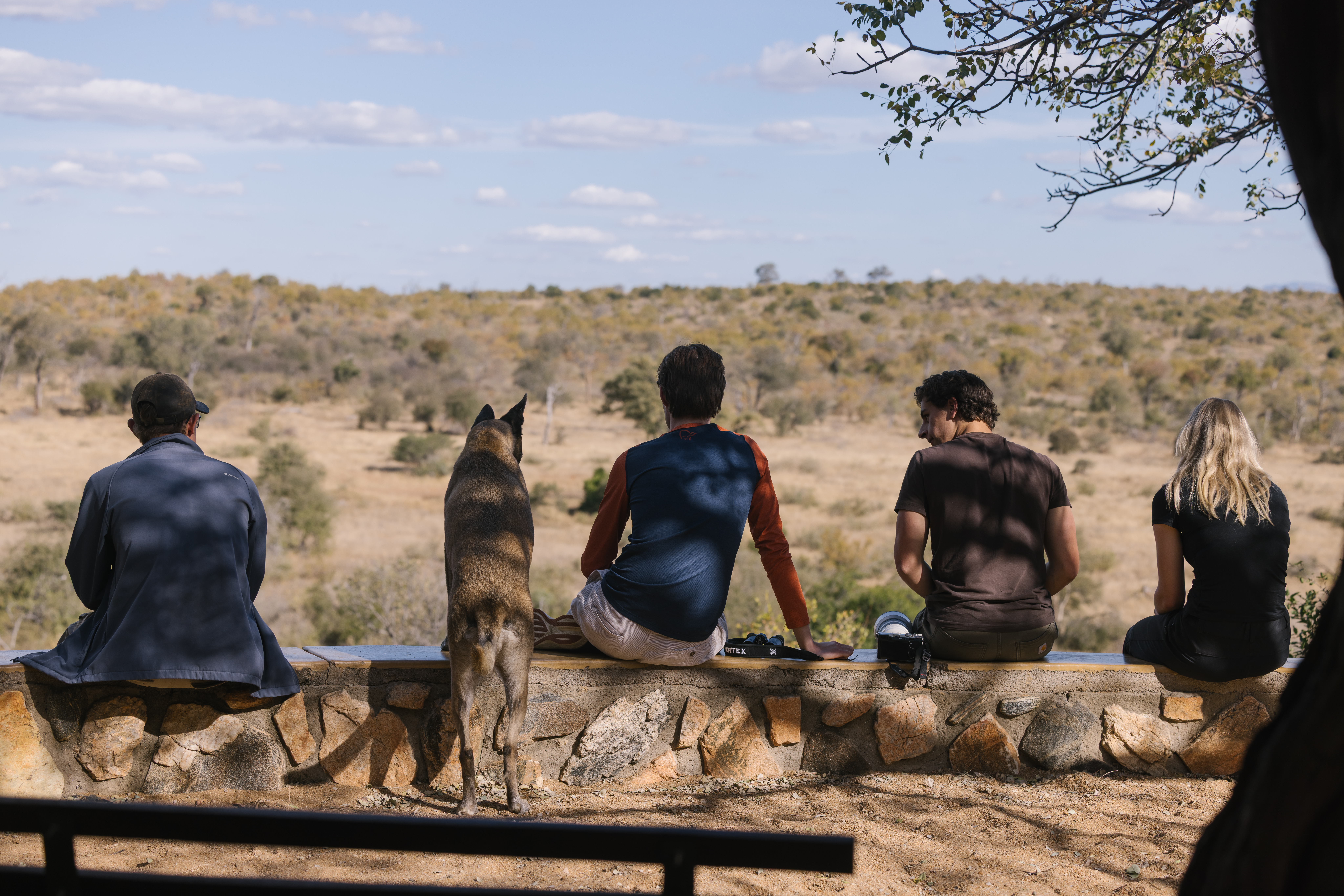 African wild dog conservation volunteer - African Wild dog experiences - Group looking out over the bush with a guide dog