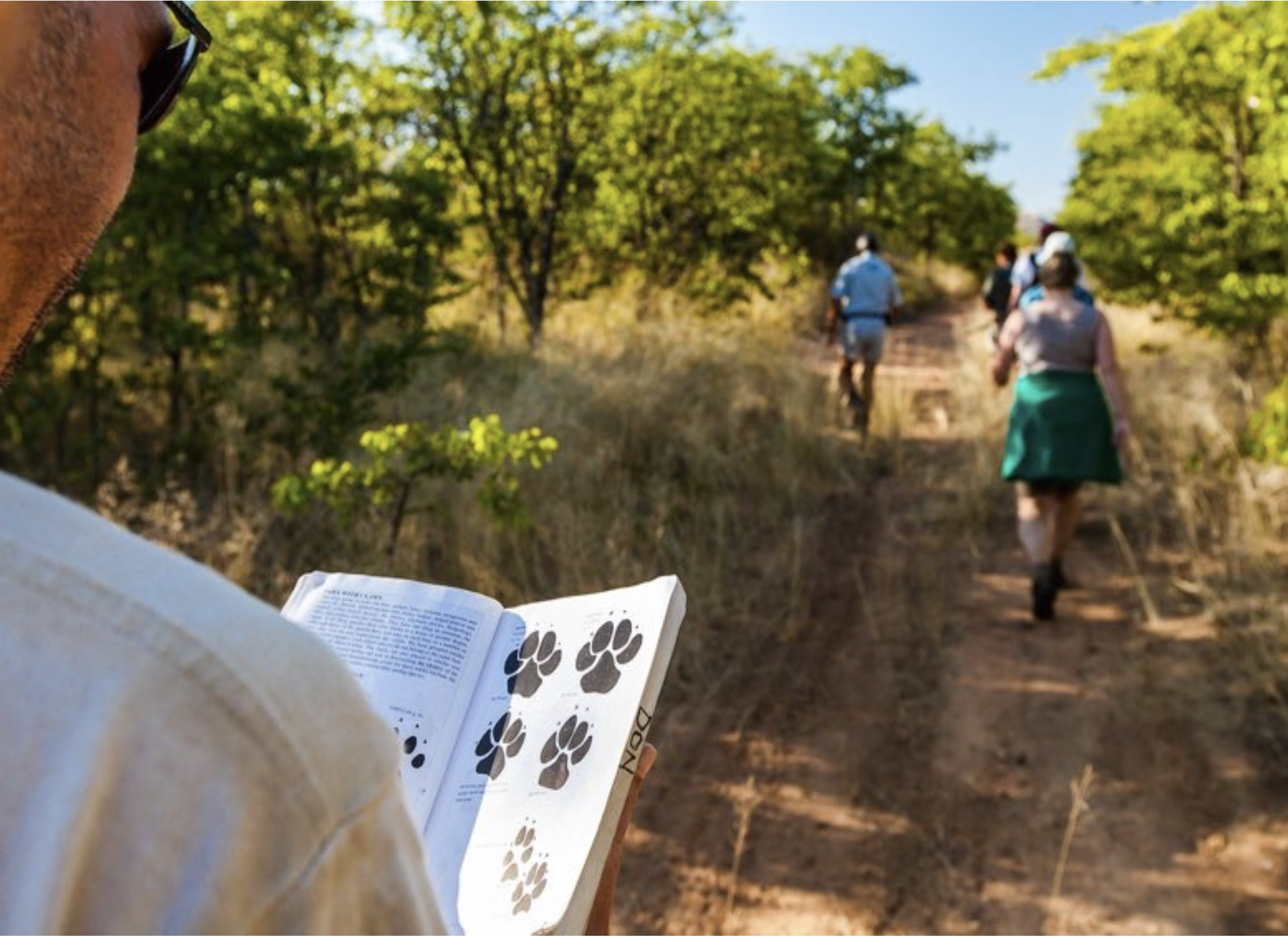 Conservation courses - Conservation courses - Volunteer looking how to identify tracks in a book