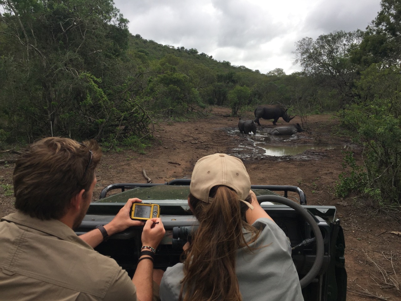  Two volunteers are out monitoring in the field, seeing rhinos