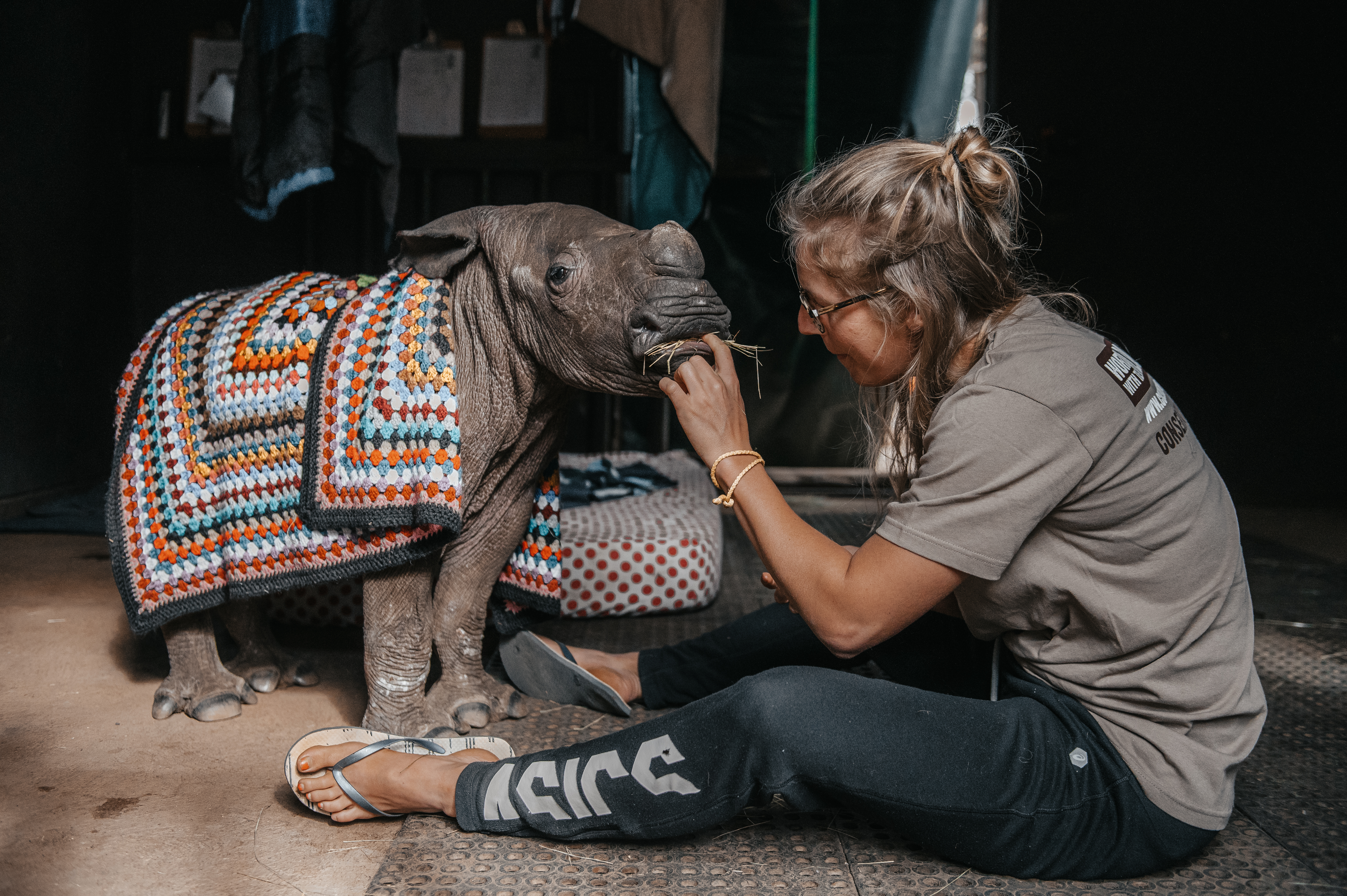 Rhino conservation volunteer - Rhino conservation experiences - Volunteer feeding a baby rhino