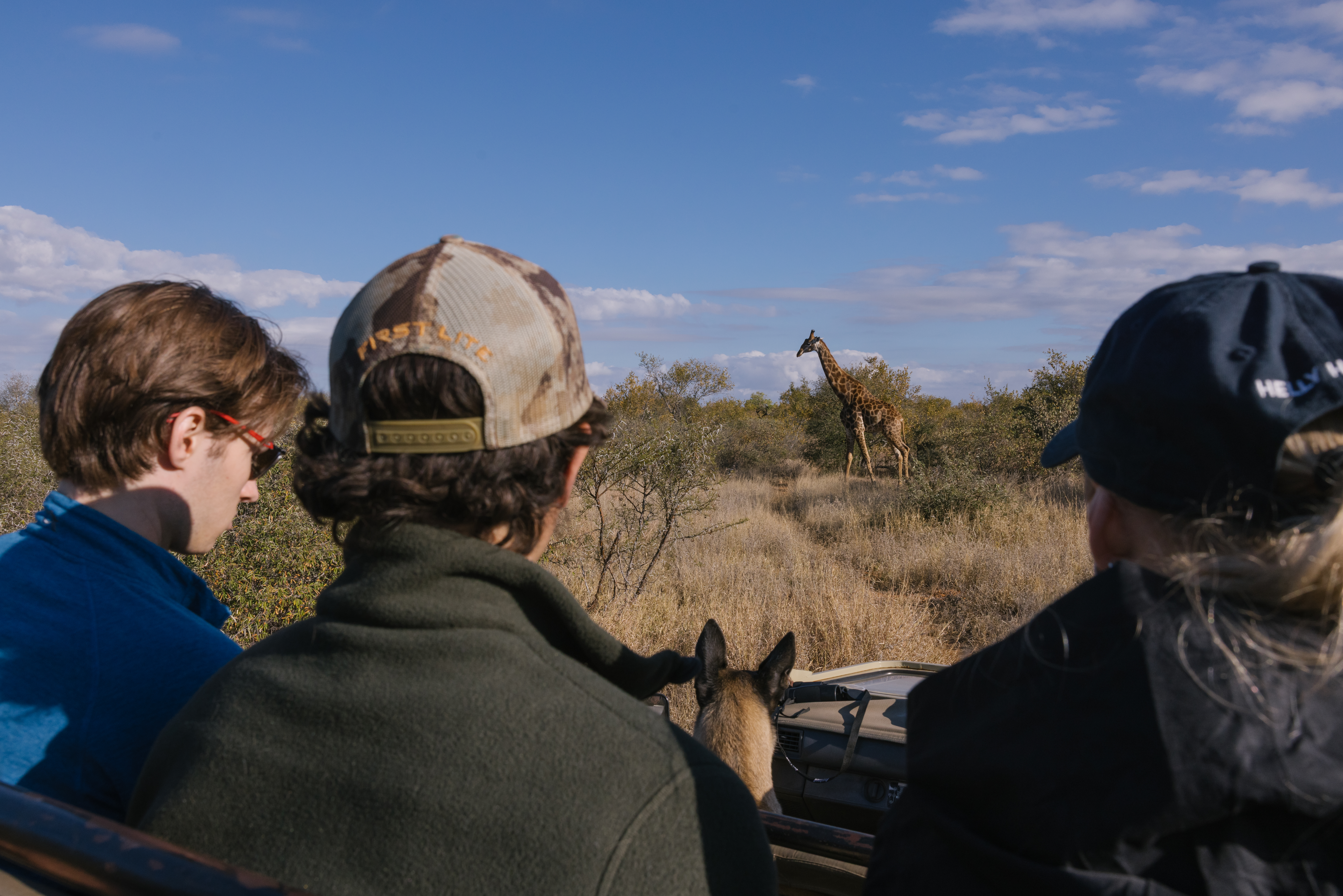 Sabbatical programs - Sabbatical & Career Breaks - Volunteers monitoring a giraffe