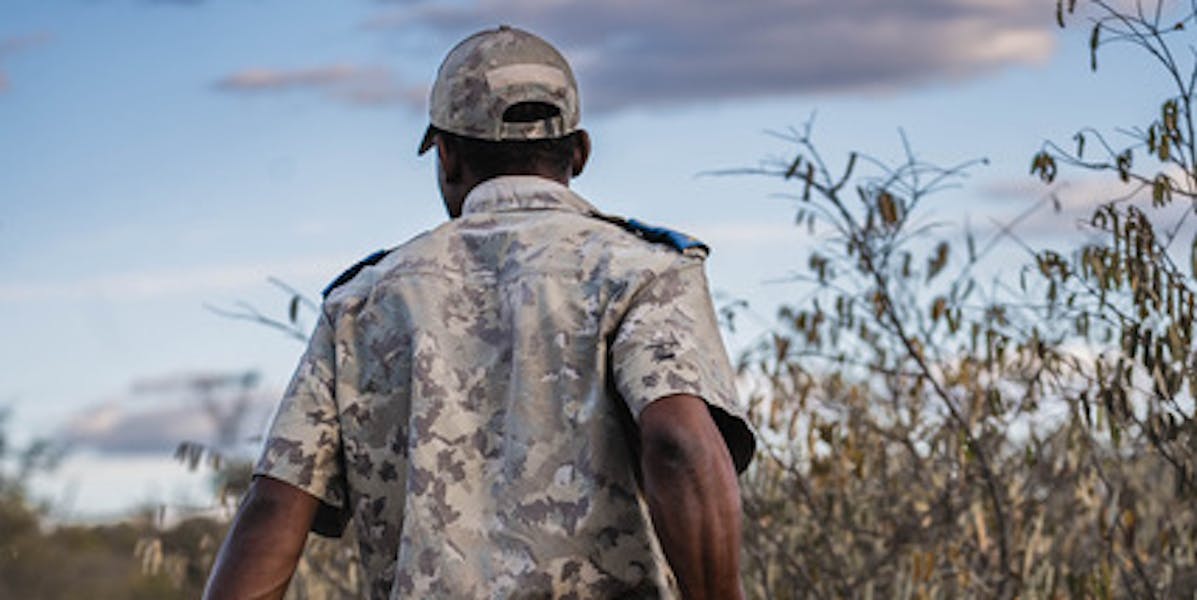 Phinda Research July 2025 Ranger with ivory