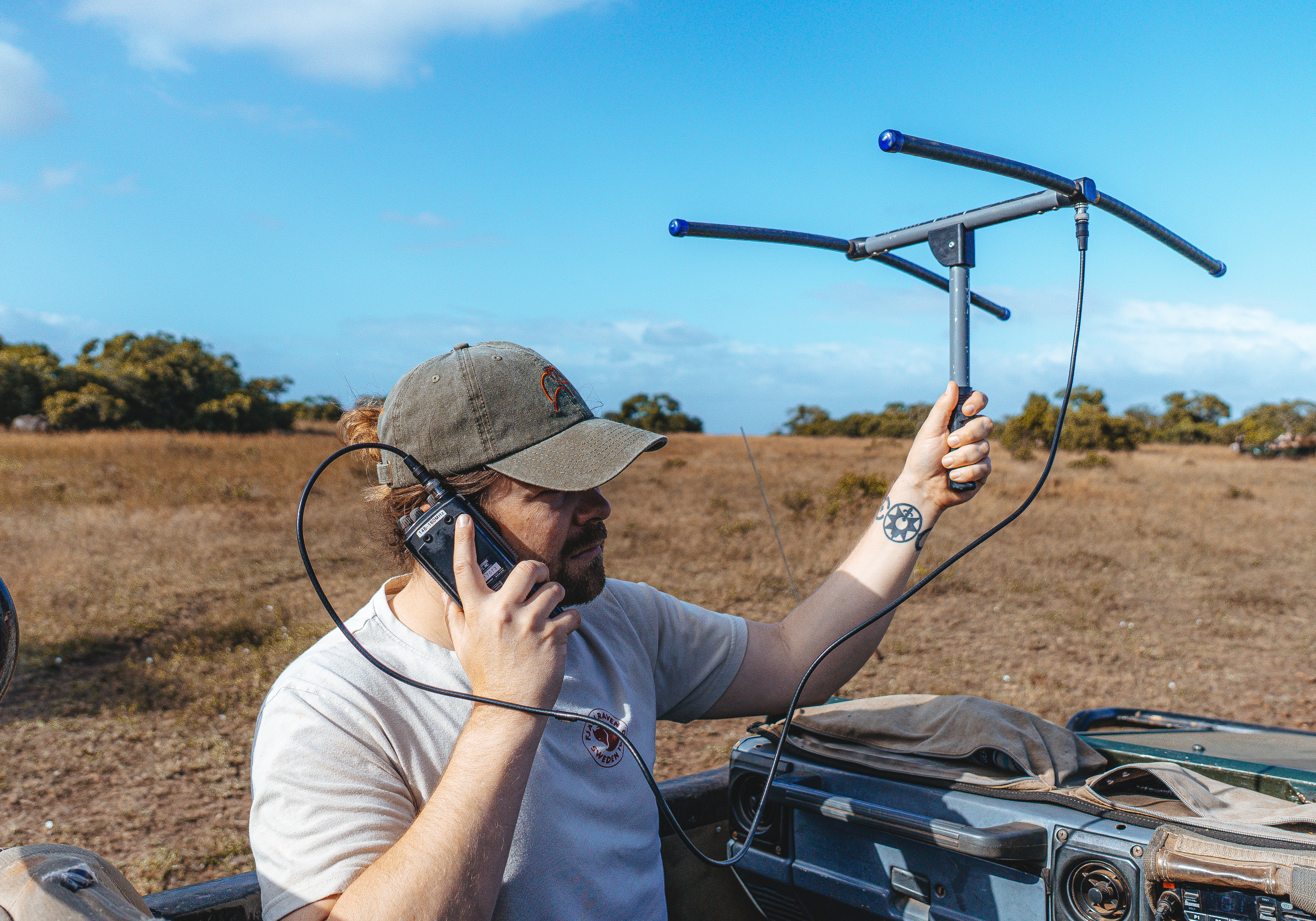 African wild dog conservation volunteer - African Wild dog experiences - Male telemetry tracking wildlife