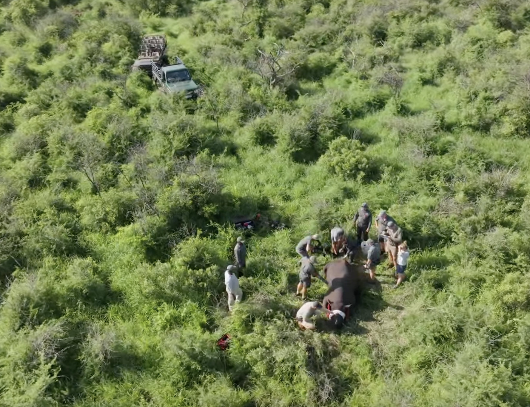 Terra X Phinda: view from above