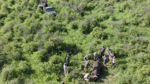 Terra X Phinda: view from above