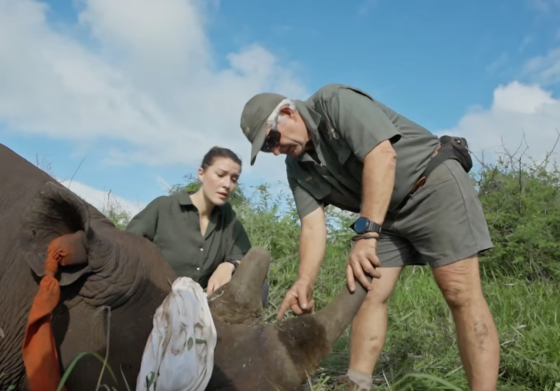 Terra X Phinda: assessing where the horn will be trimmed