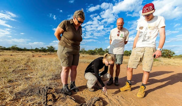 Game Ranger Conservation Experience - volunteers examining tracks on the ground
