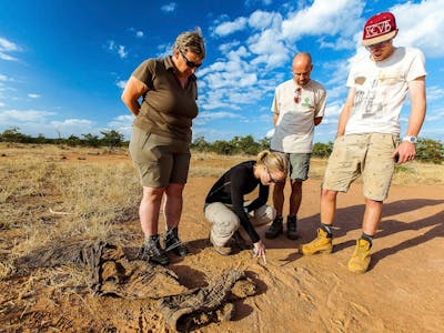 Game Ranger Conservation Experience - volunteers examining tracks on the ground