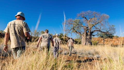 Game Ranger Conservation Experience - group hiking through the bush