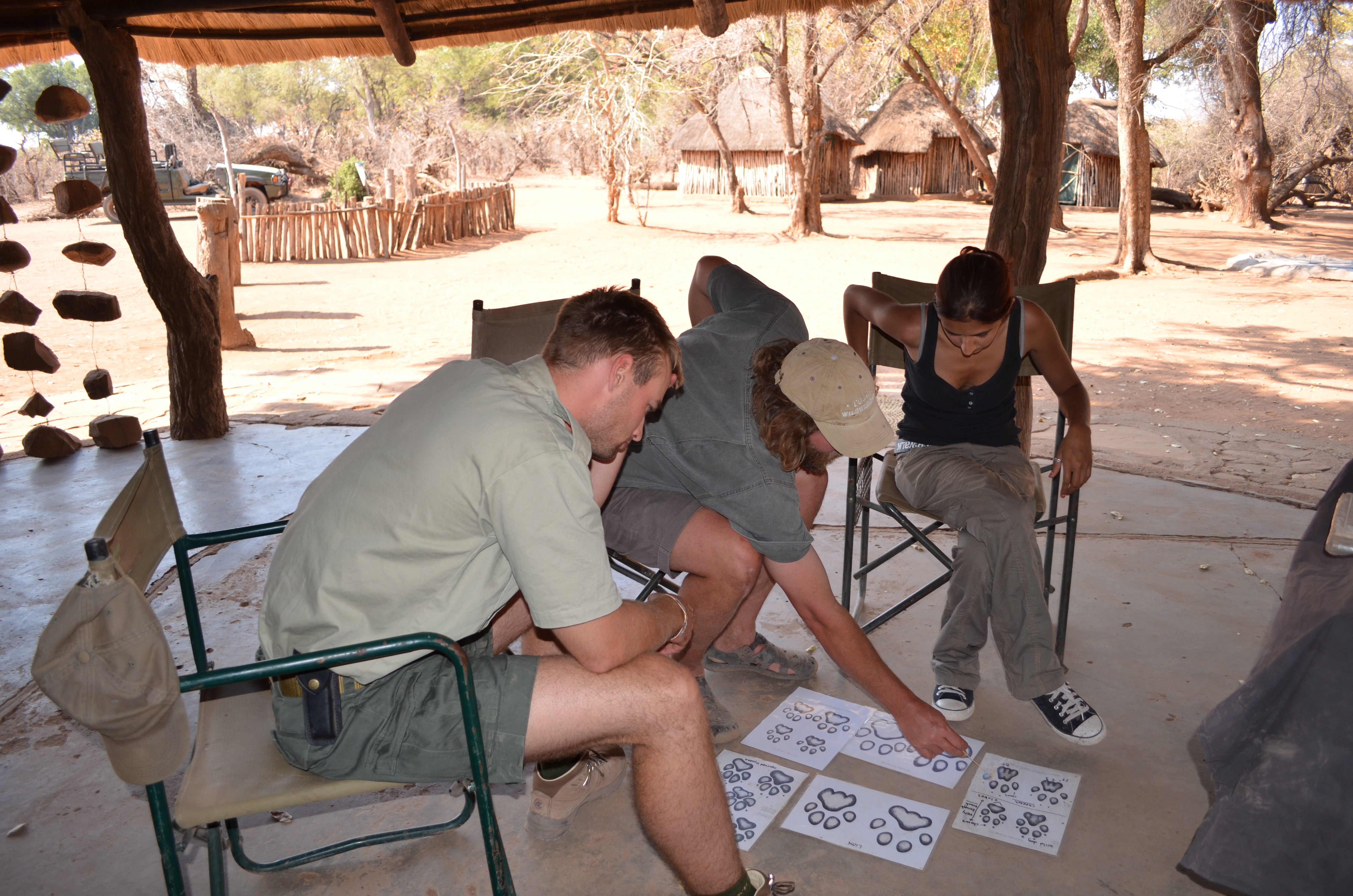 Game Ranger Conservation Experience - volunteers learning about tracks