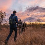 The ‘All In’ Gap Year Experience - volunteers walking in the bush