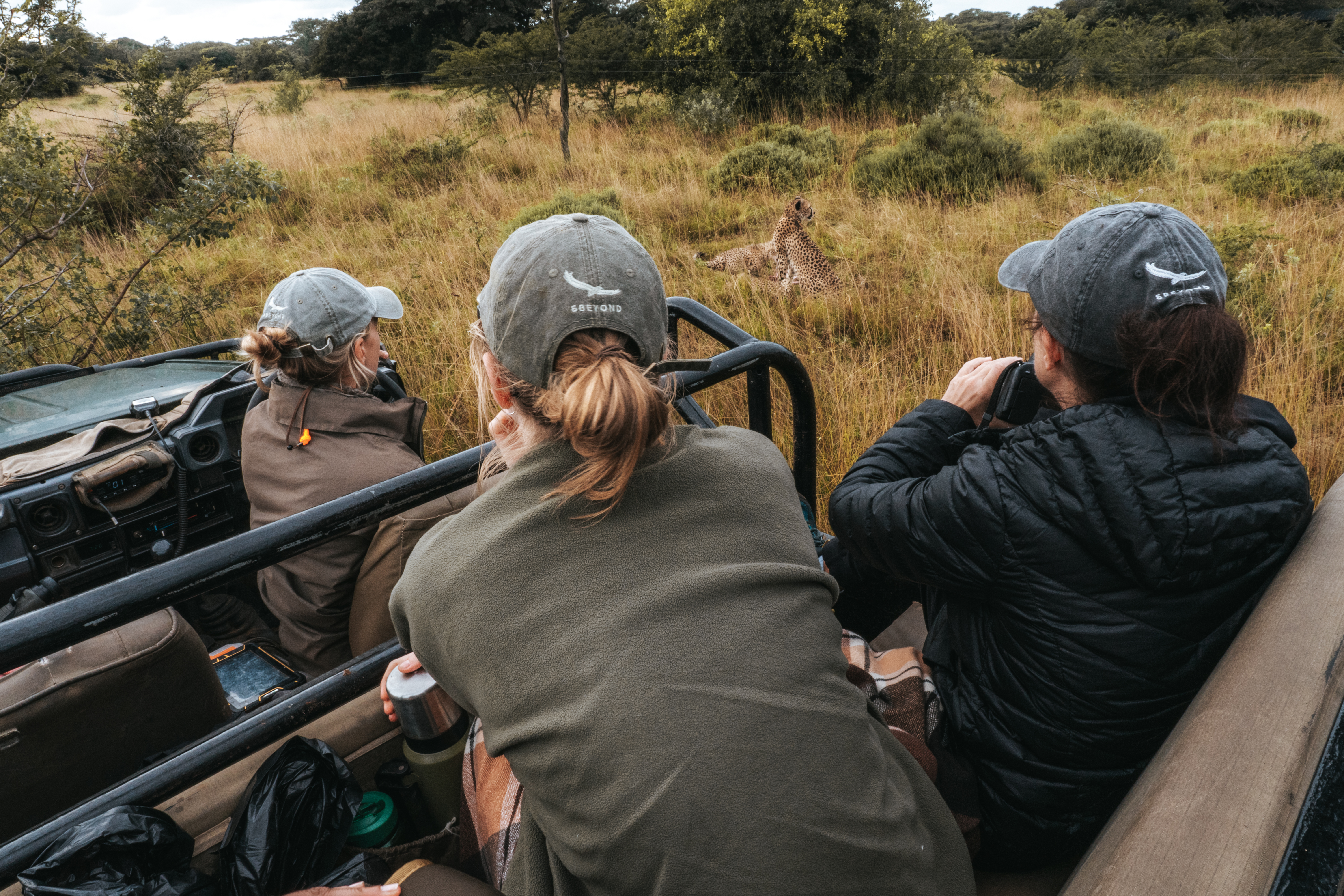 The ‘All In’ Gap Year Experience - volunteers viewing cheetahs from a vehicle 