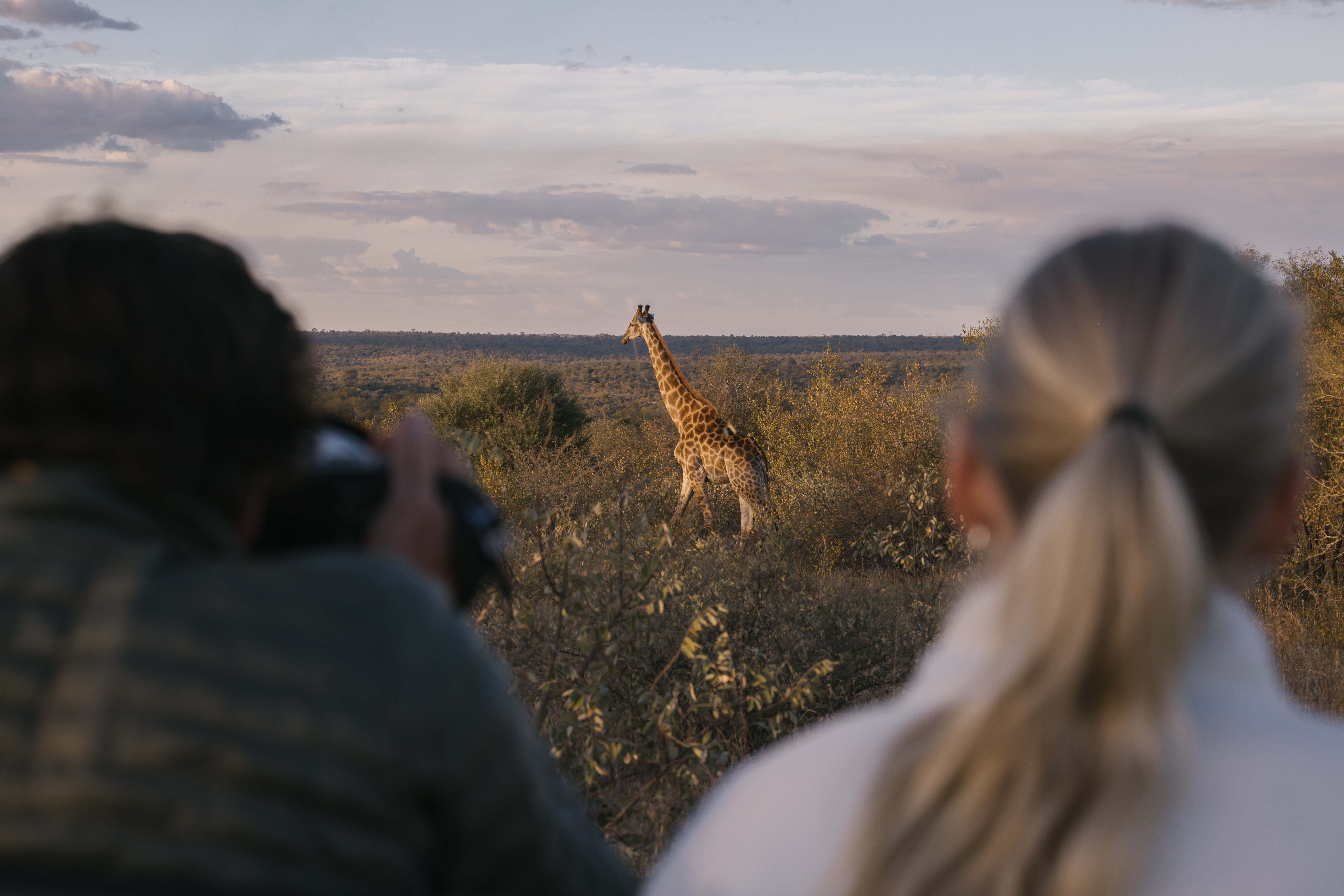 A New Side To The Kruger - volunteers viewing a giraffe in the bush