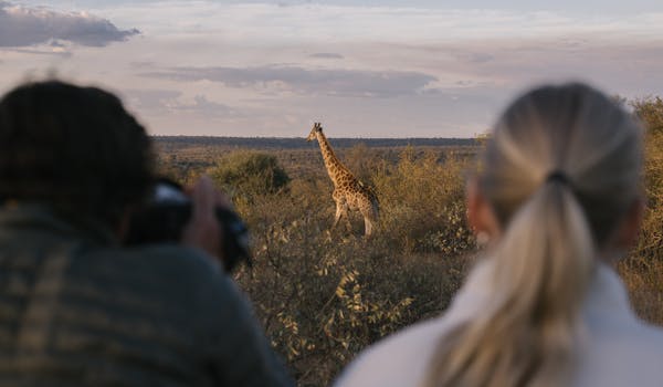 A New Side To The Kruger - volunteers viewing a giraffe in the bush