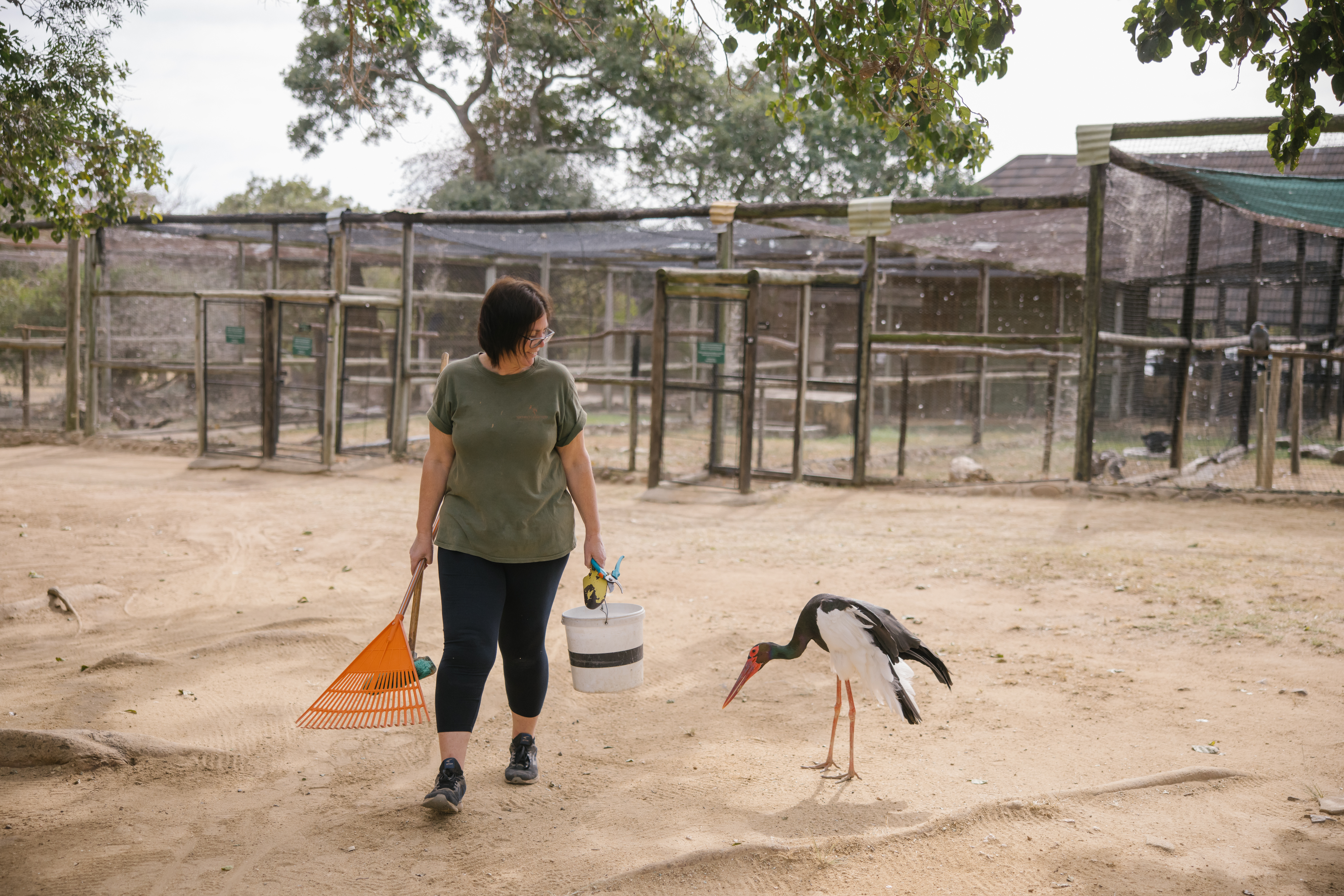 A New Side To The Kruger - volunteer with cleaning supplies next to a bird