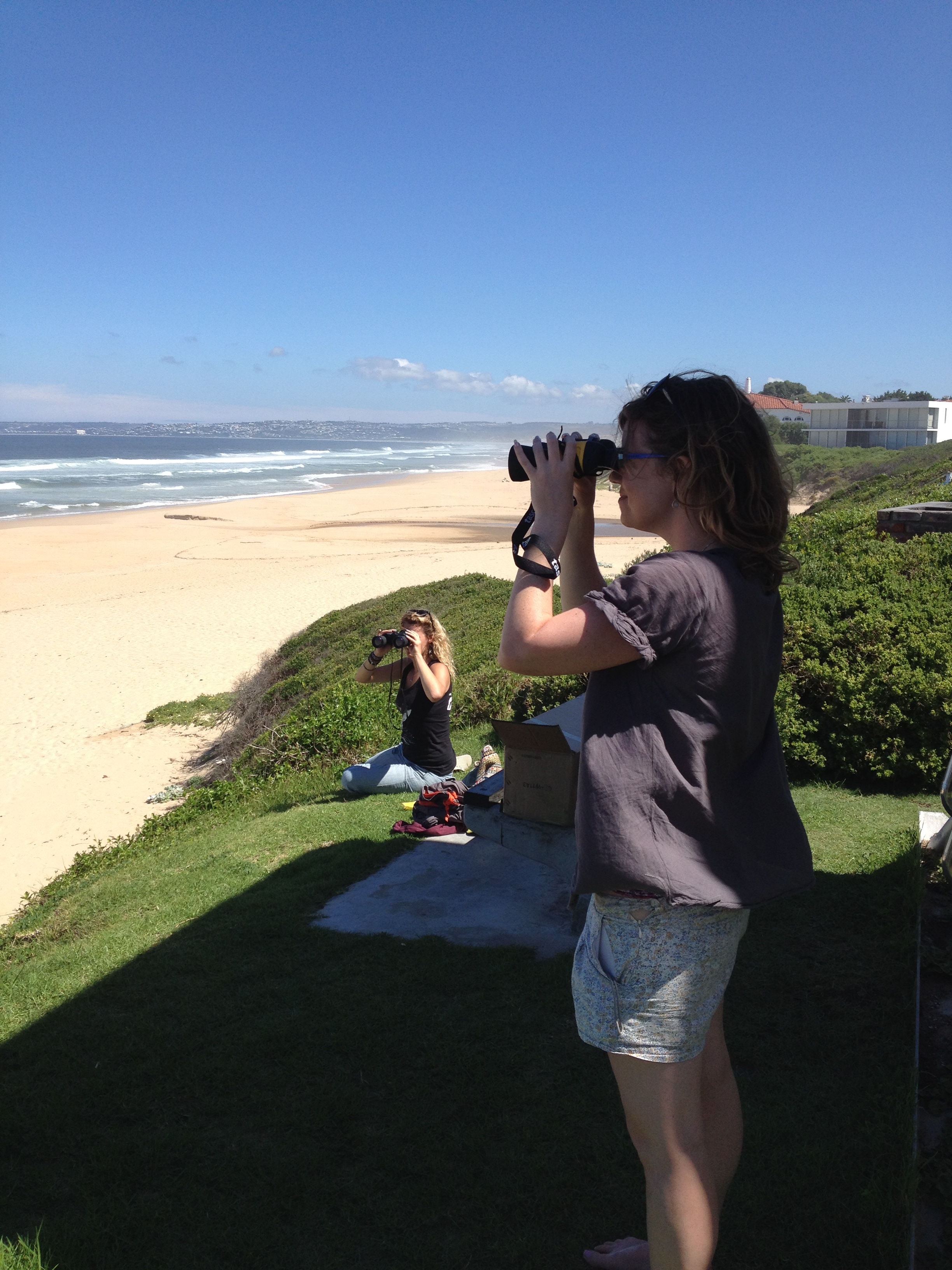 Coastal Conservation Project - volunteers observing marine wildlife from the clifftop 