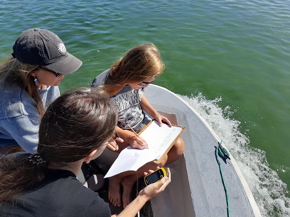 Marine conservation volunteering - Marine Conservation - Coastal Conservation Project - volunteers collecting data on a boat 