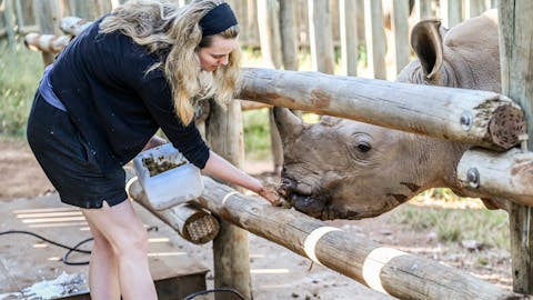 Care For Wild Africa Rhino Sanctuary -volunteer feeding a rhino