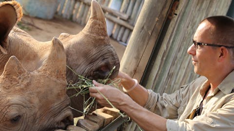 Care For Wild Africa Rhino Sanctuary - volunteer feeding rhinos grass