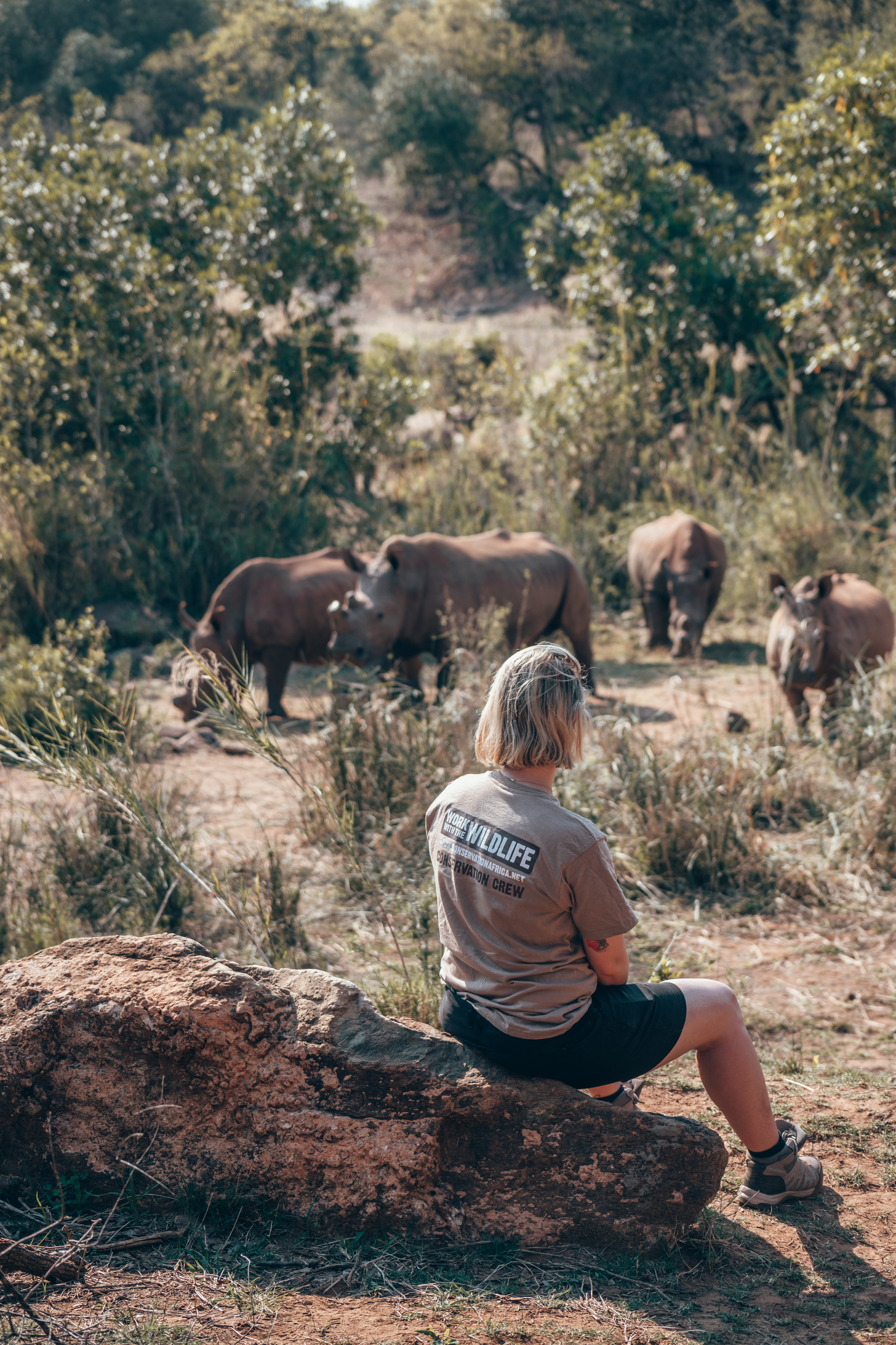 Care For Wild Africa Rhino Sanctuary - volunteer observing rhinos from afar