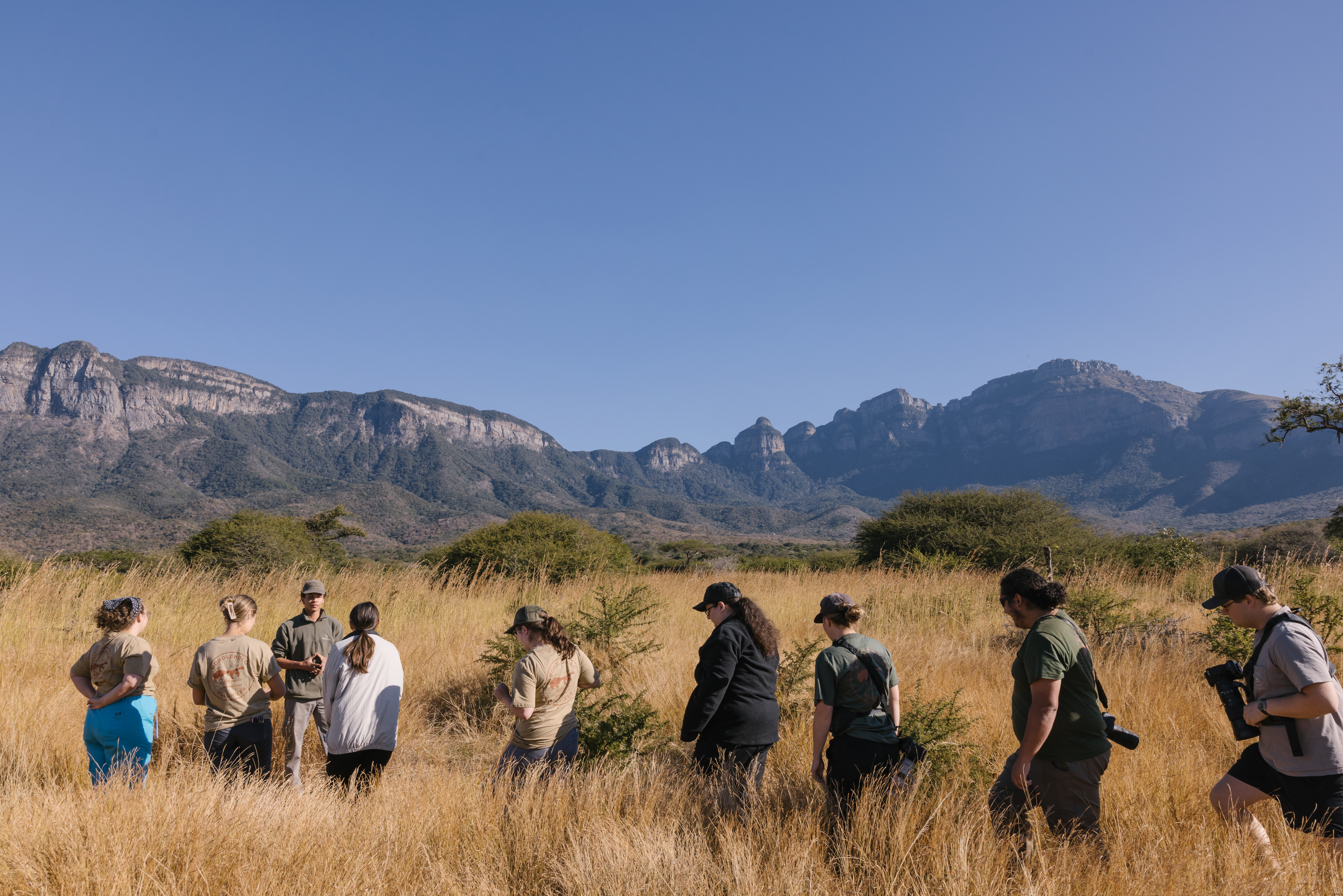Moholoholo Wildlife Rehabilitation Centre - volunteers walking in the bush
