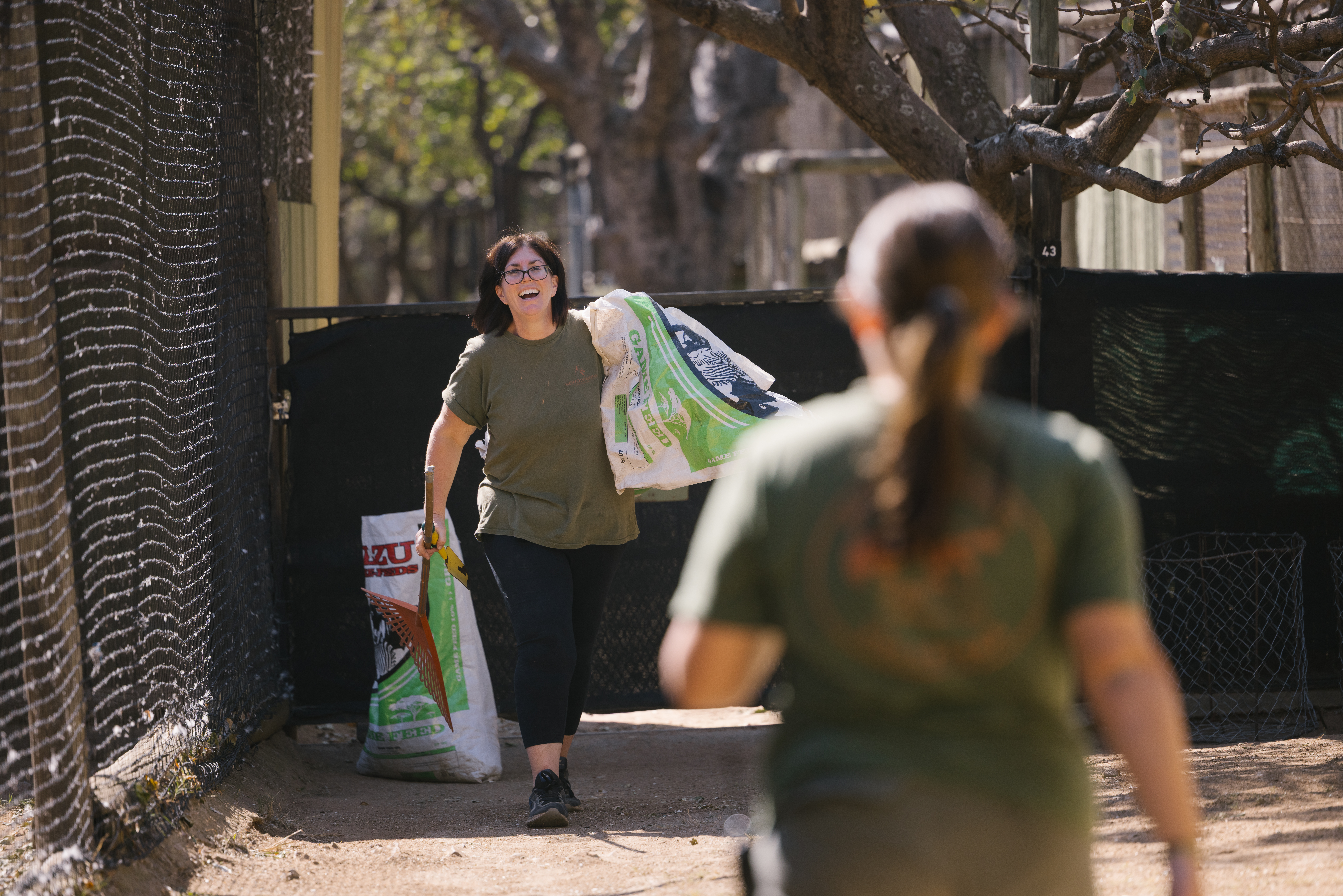Moholoholo Wildlife Rehabilitation Centre - volunteers carrying feed bags