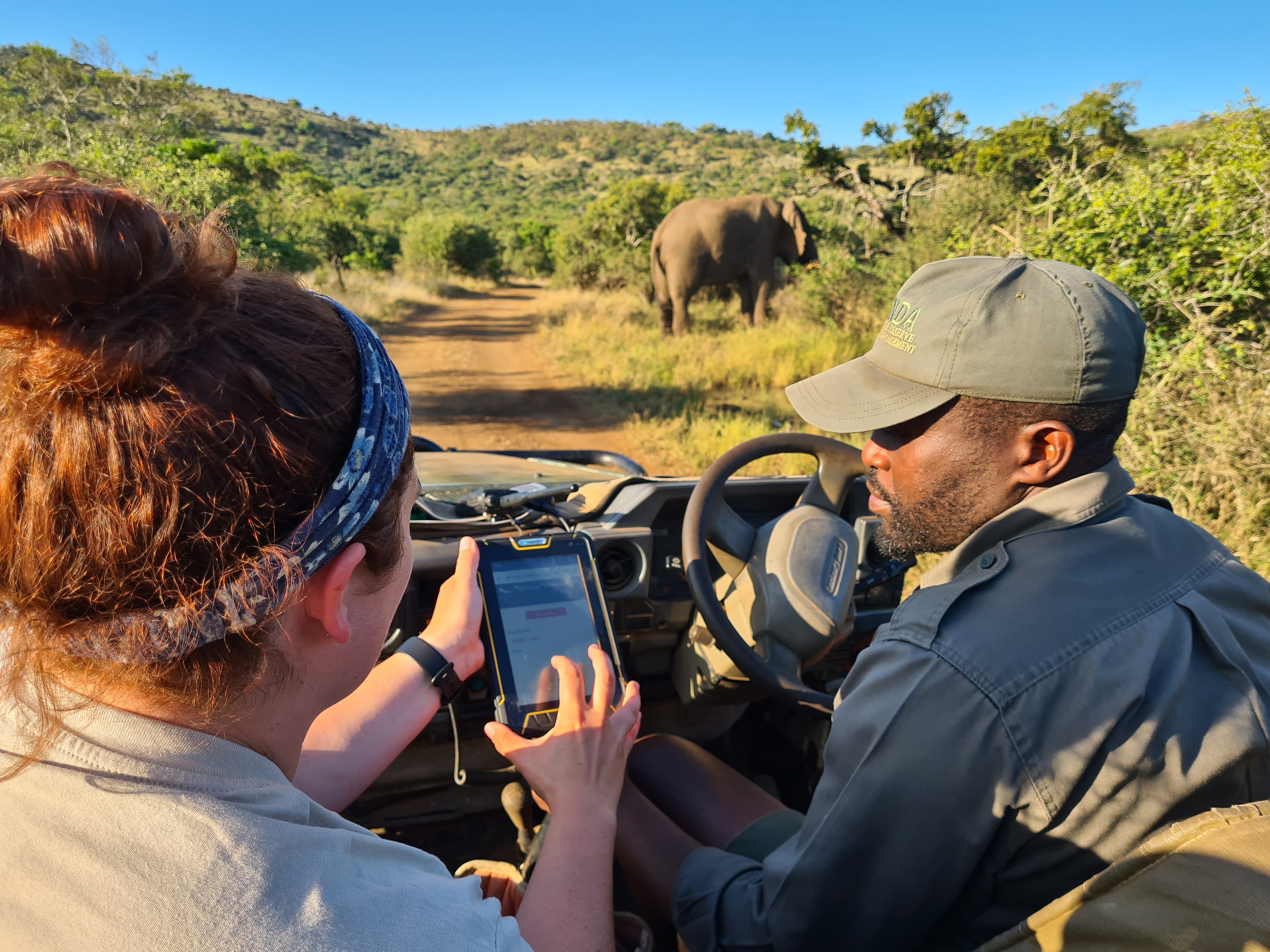 Phinda Wildlife Research Project - volunteer and researcher recording data in the field