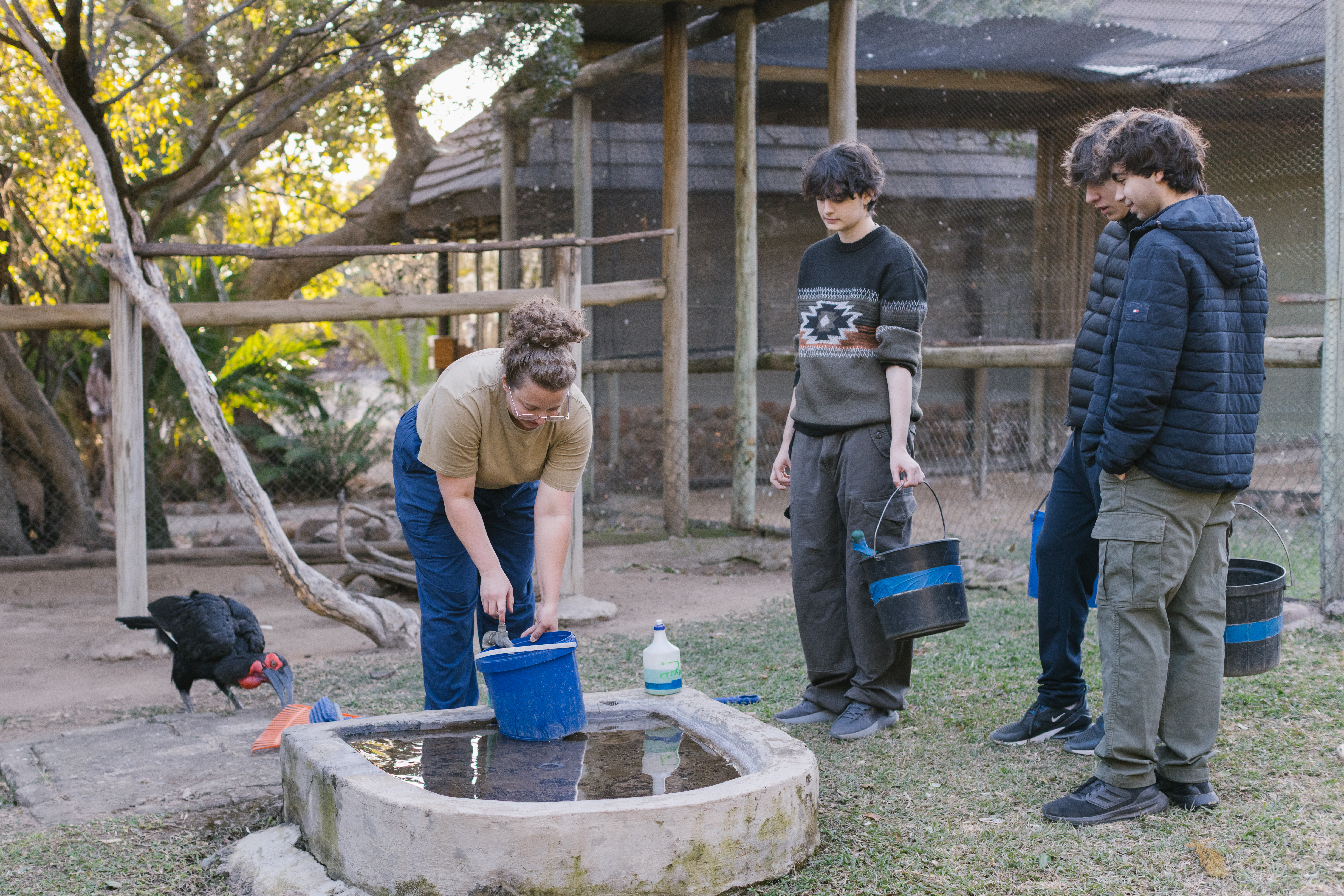 Moholoholo Wildlife Rehabilitation Centre - volunteers cleaning an enclosure 