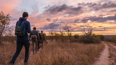 The Vikela Kruger Conservation Experience - volunteers walking through the bush at sunset