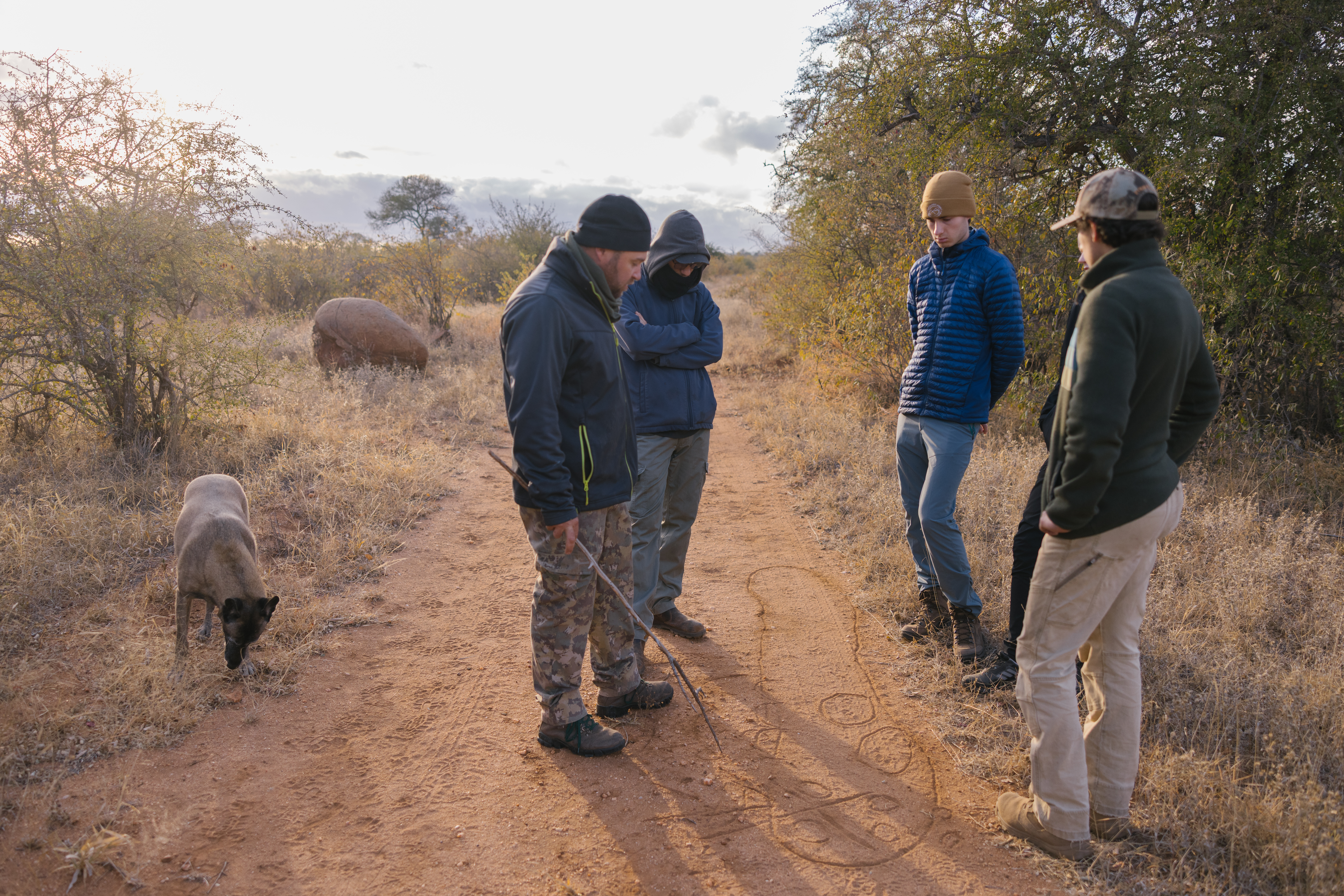 The Vikela Kruger Conservation Experience - group looking at tracks on the ground