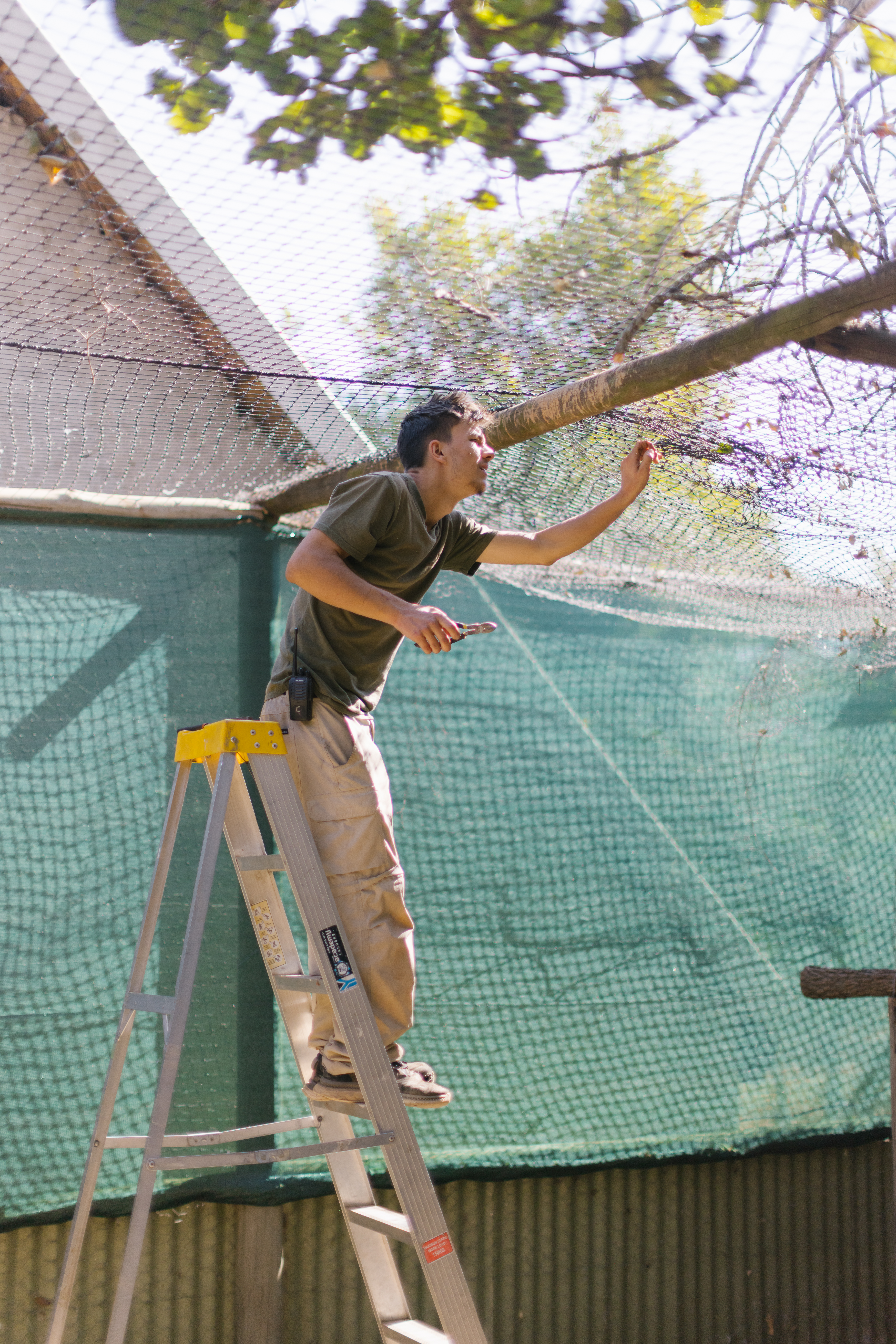 Wildlife Rehabilitation Placement - volunteer helping to repair an enclosure 