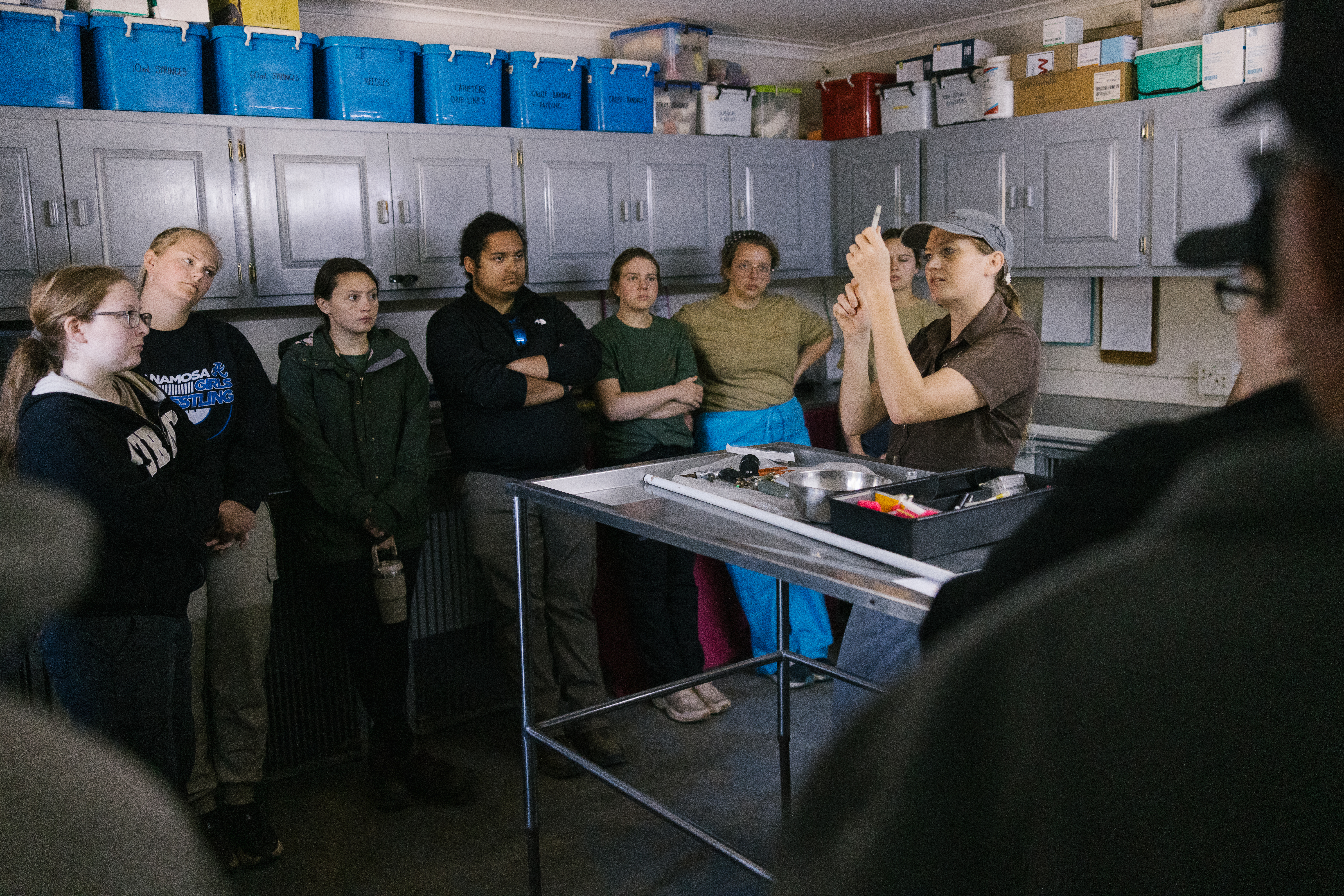 Wildlife Rehabilitation Placement - volunteers learning 