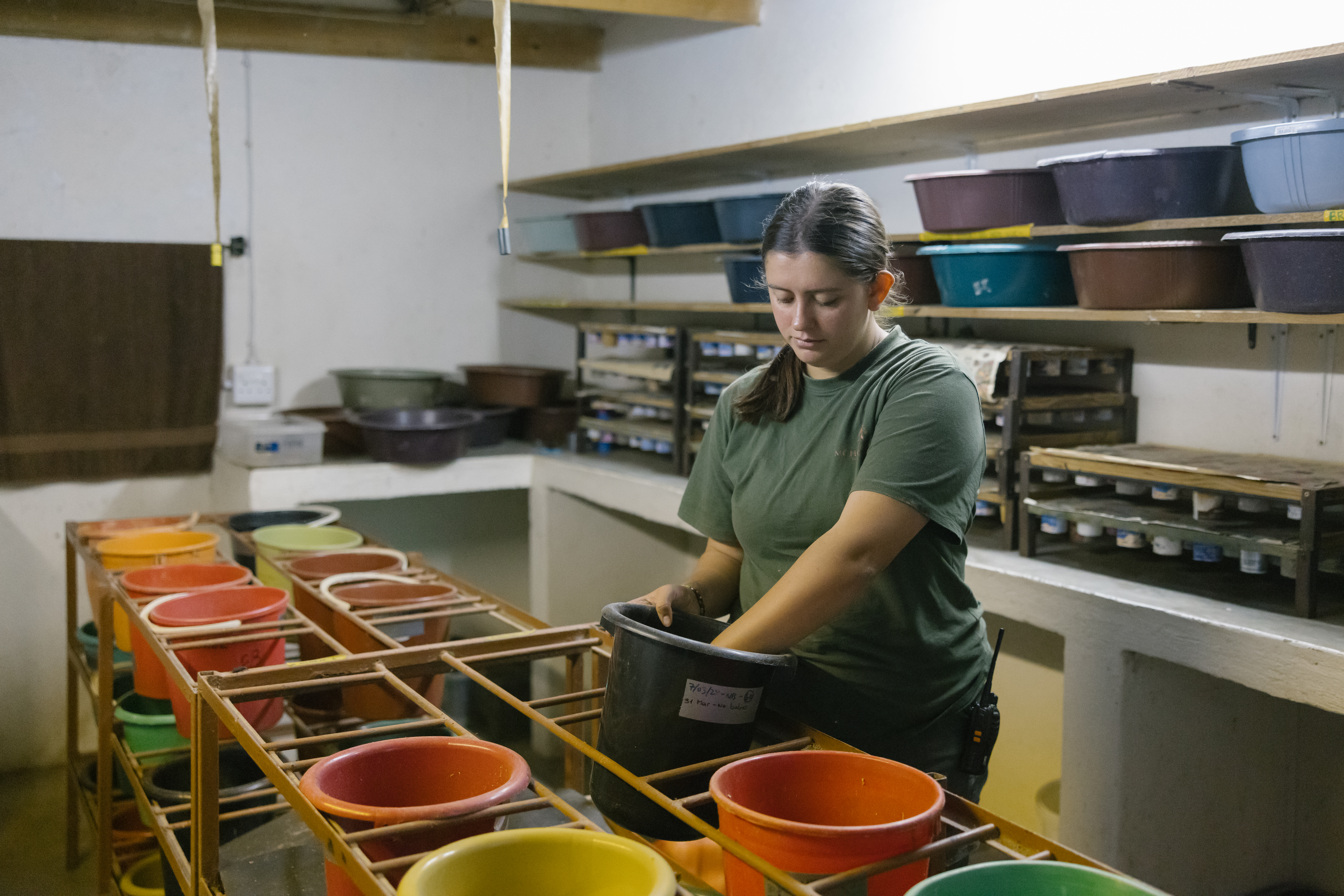 Wildlife Rehabilitation Placement - volunteer preparing food buckets