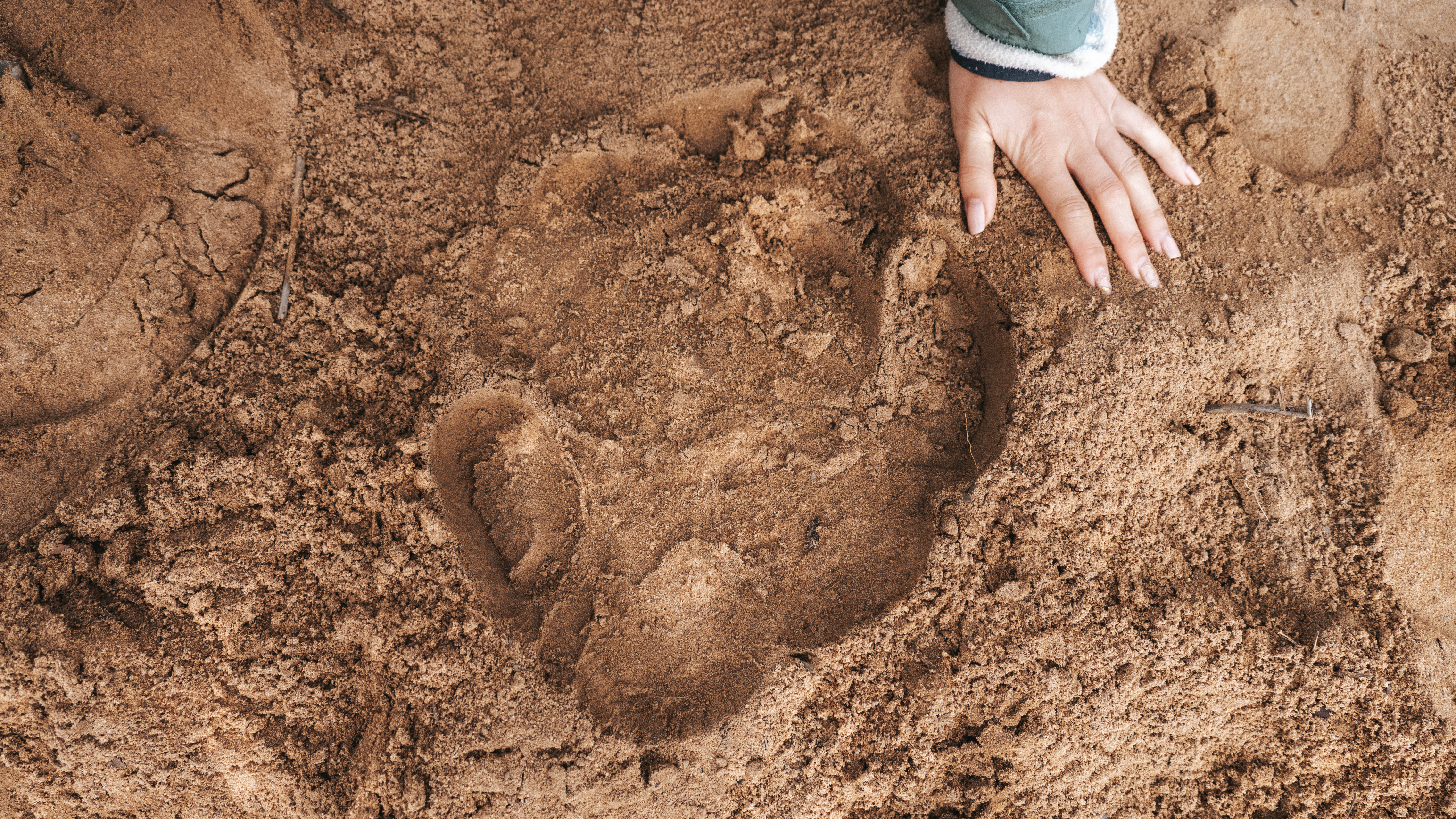 Golola Rhino Orphanage and Rehabilitation Centre - rhino print next to volunteer hand