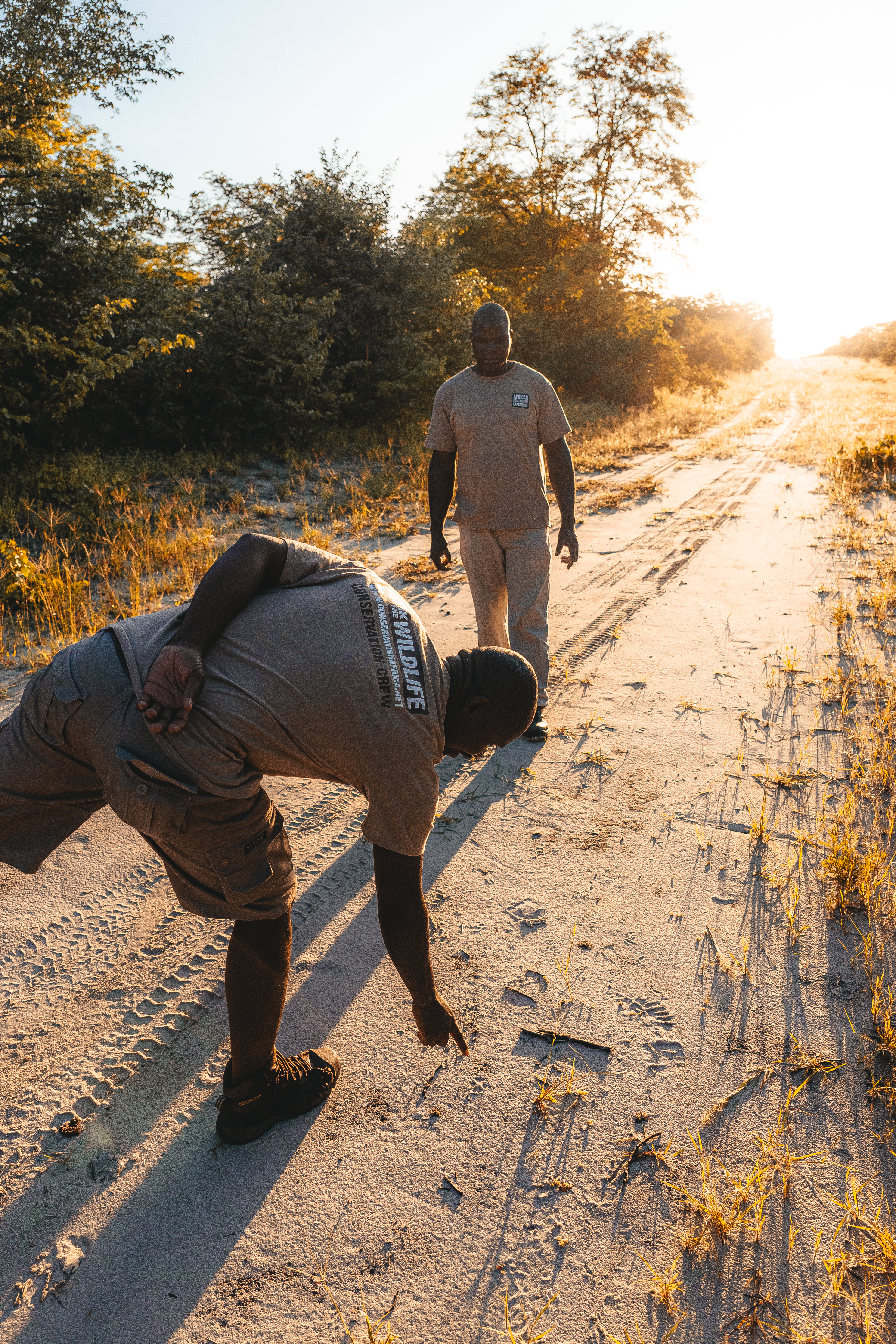 Okavango Wilderness Project - project staff examining animal tracks 