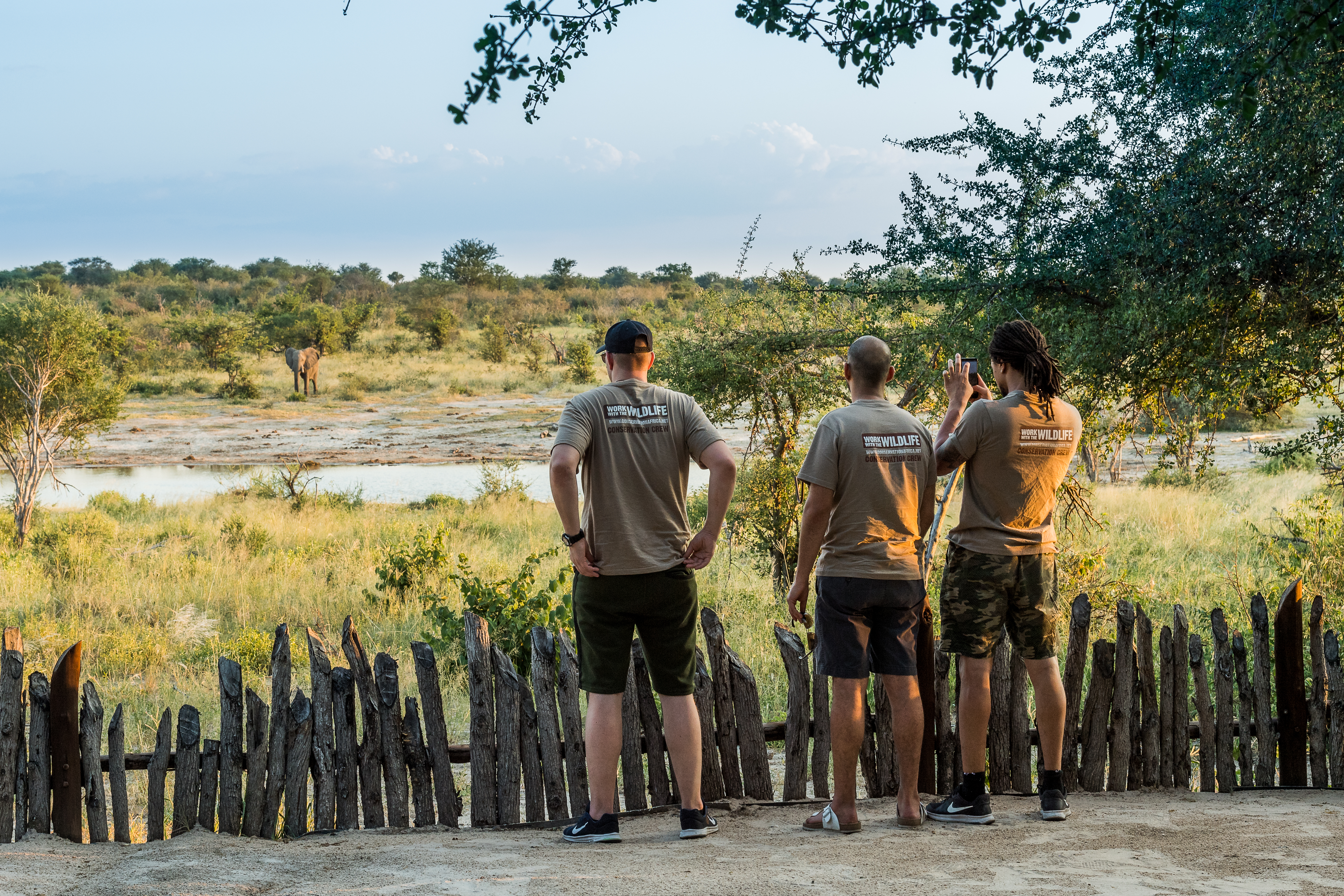 Okavango Wilderness Project - volunteers observing an elephant in the bush 