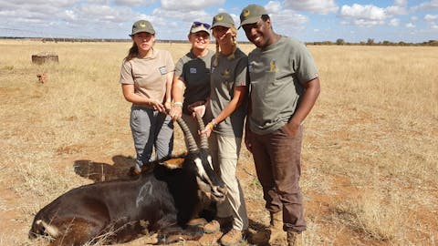 Wildlife Capture And Relocation Experience - volunteer group posing with an antelope