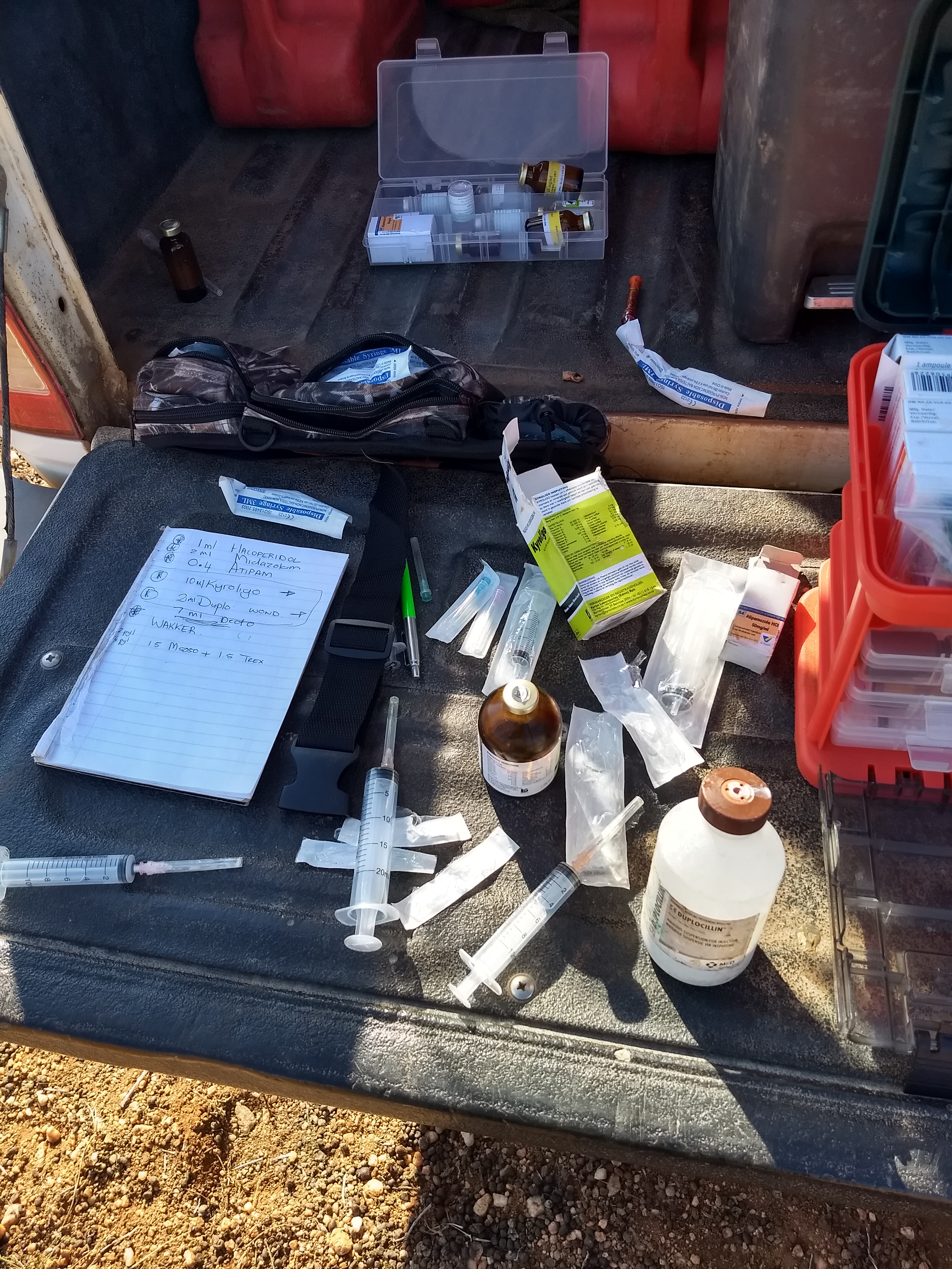 Wildlife Capture And Relocation Experience - sedation medication up close 