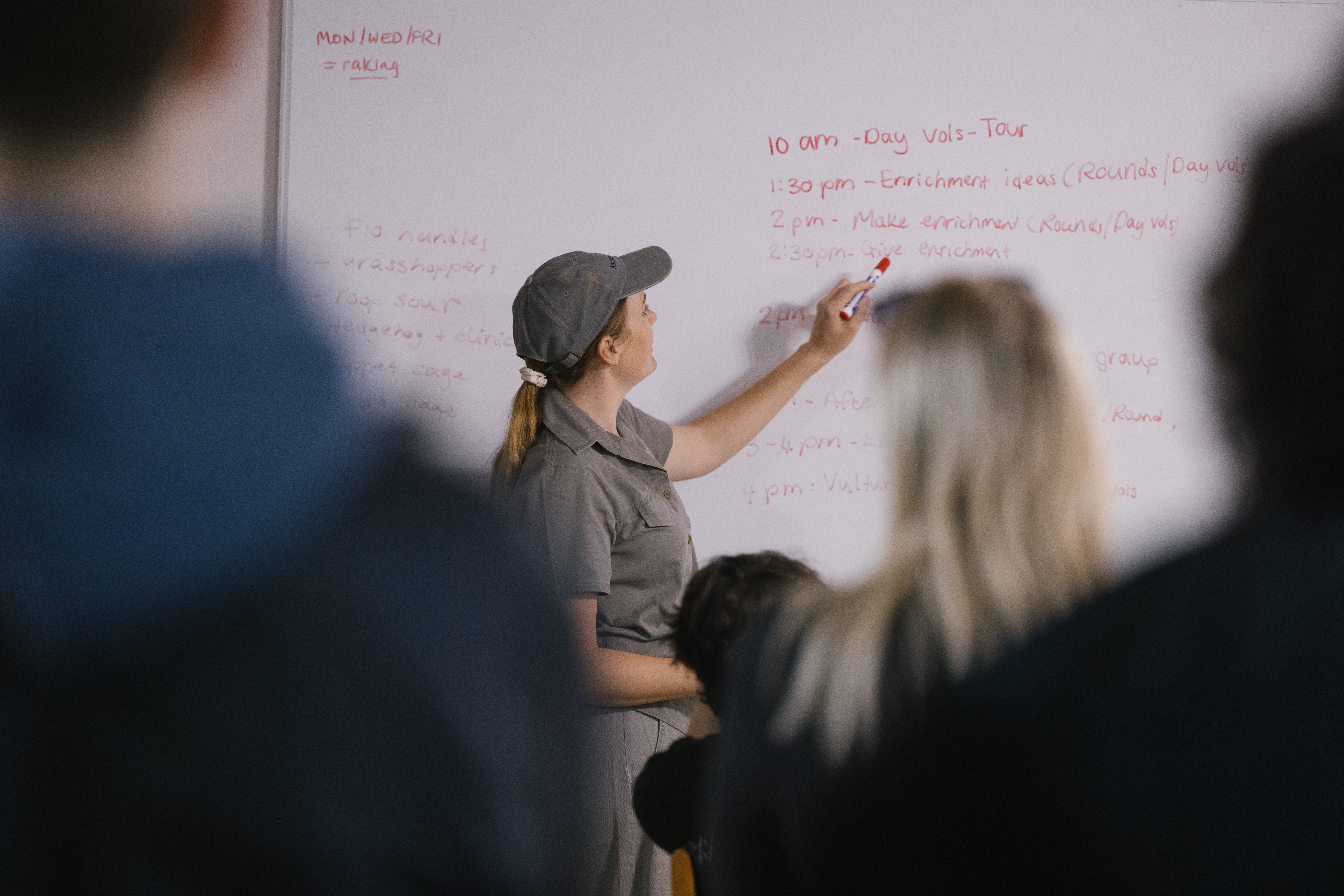 The Immersive Wildlife Rehabilitation Experience - daily jobs being explained by staff