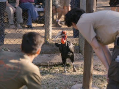 Animal Care And Conservation Field Trip - students observing a bird